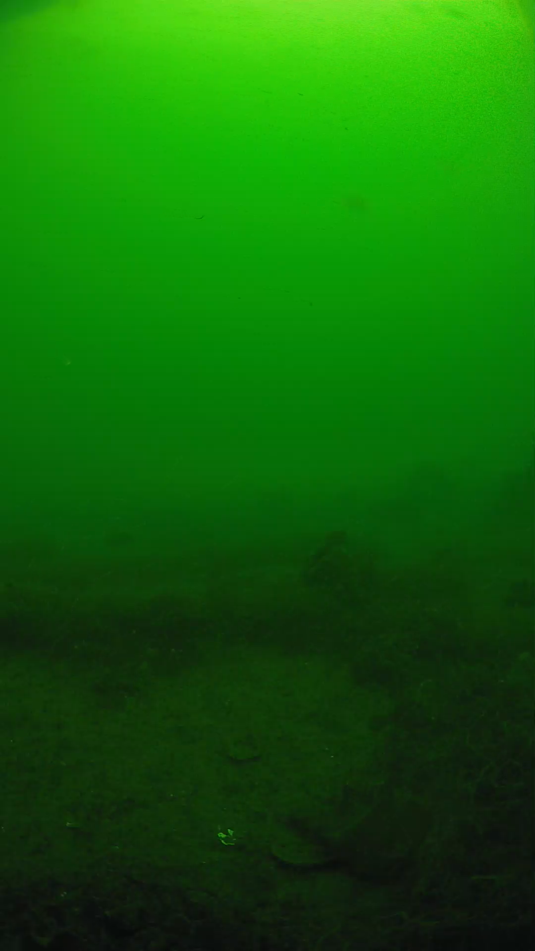 lander_ipcam_20250605093141.png