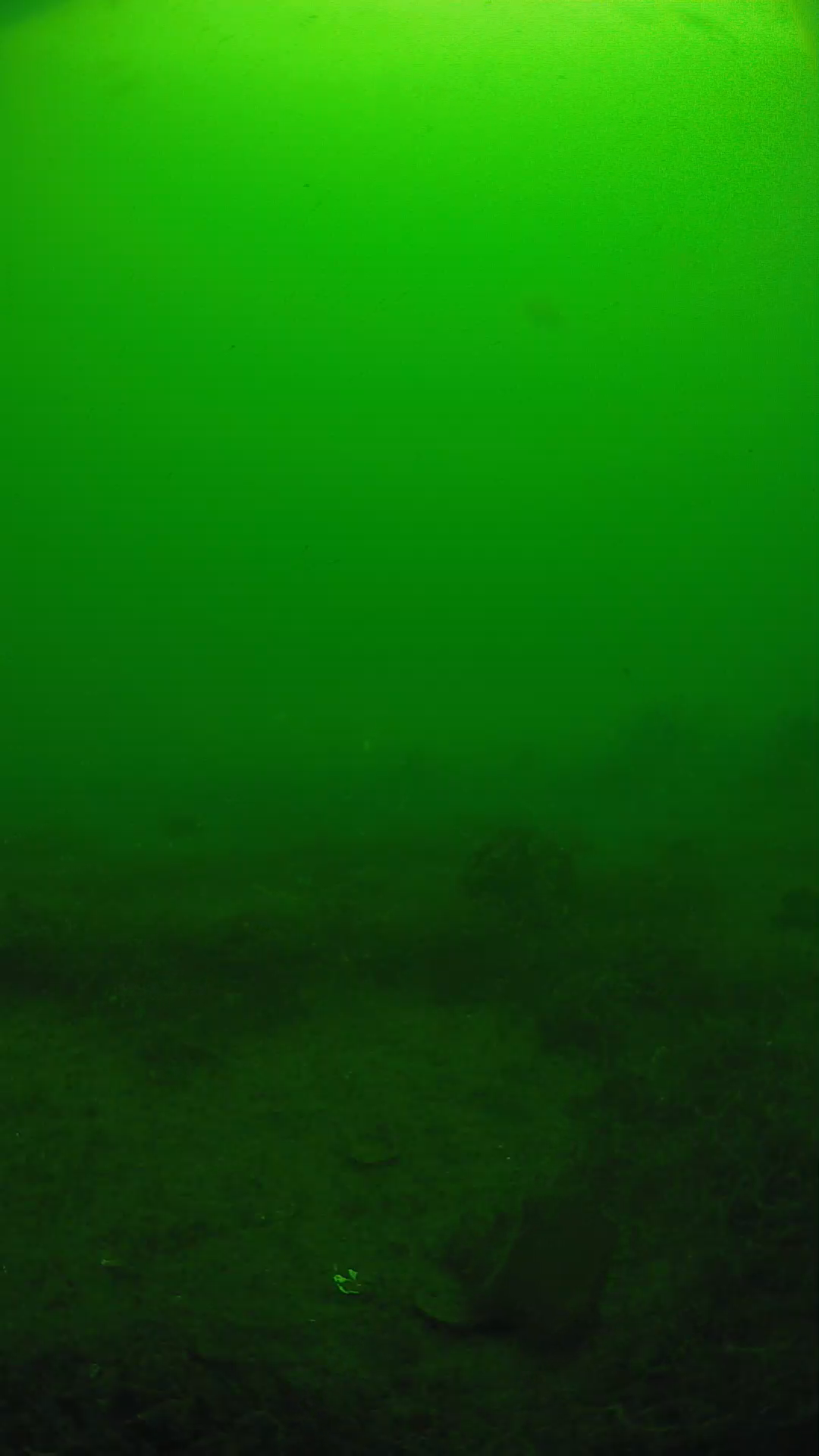lander_ipcam_20250605093152.png