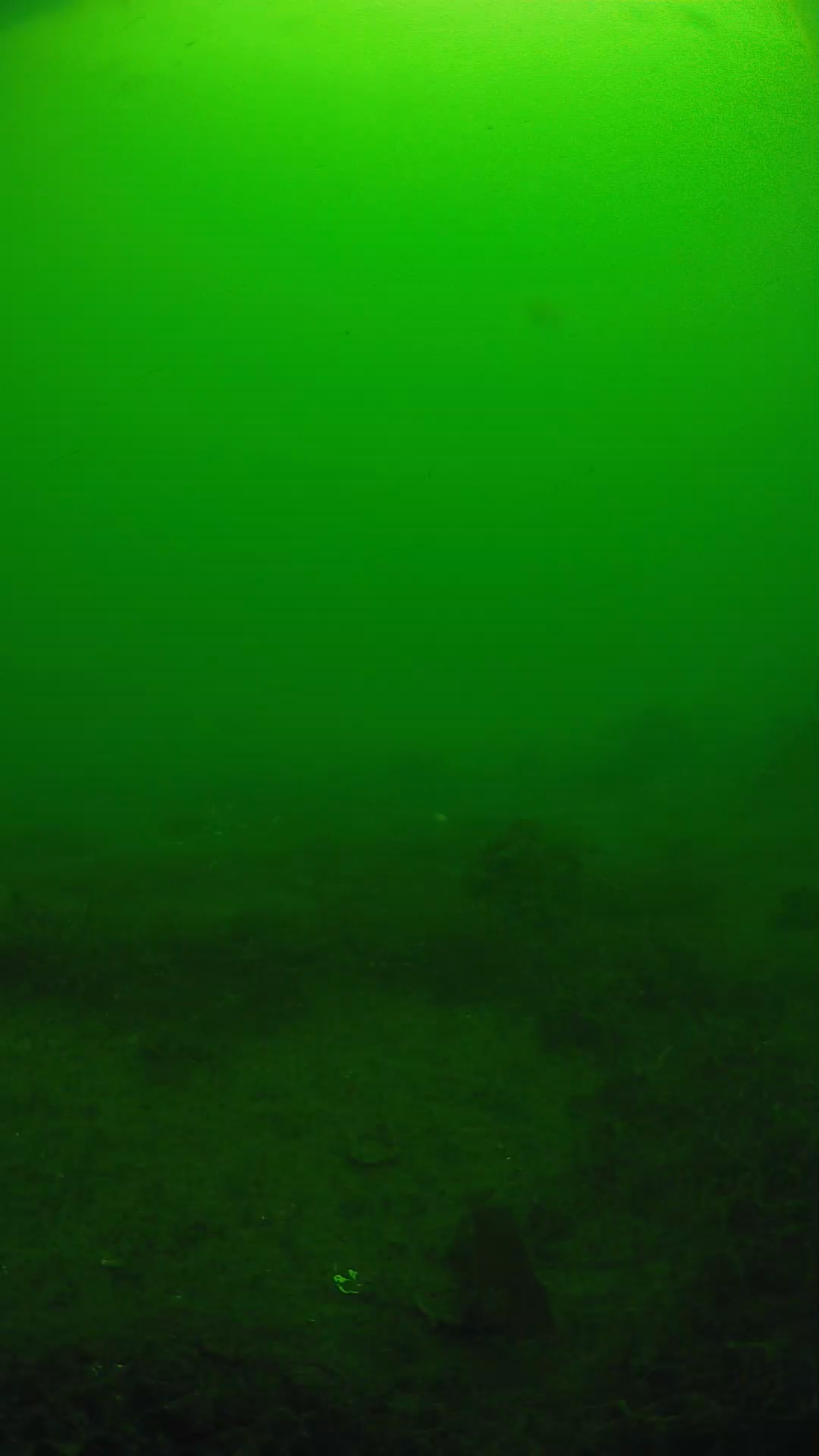 lander_ipcam_20250605093156.png