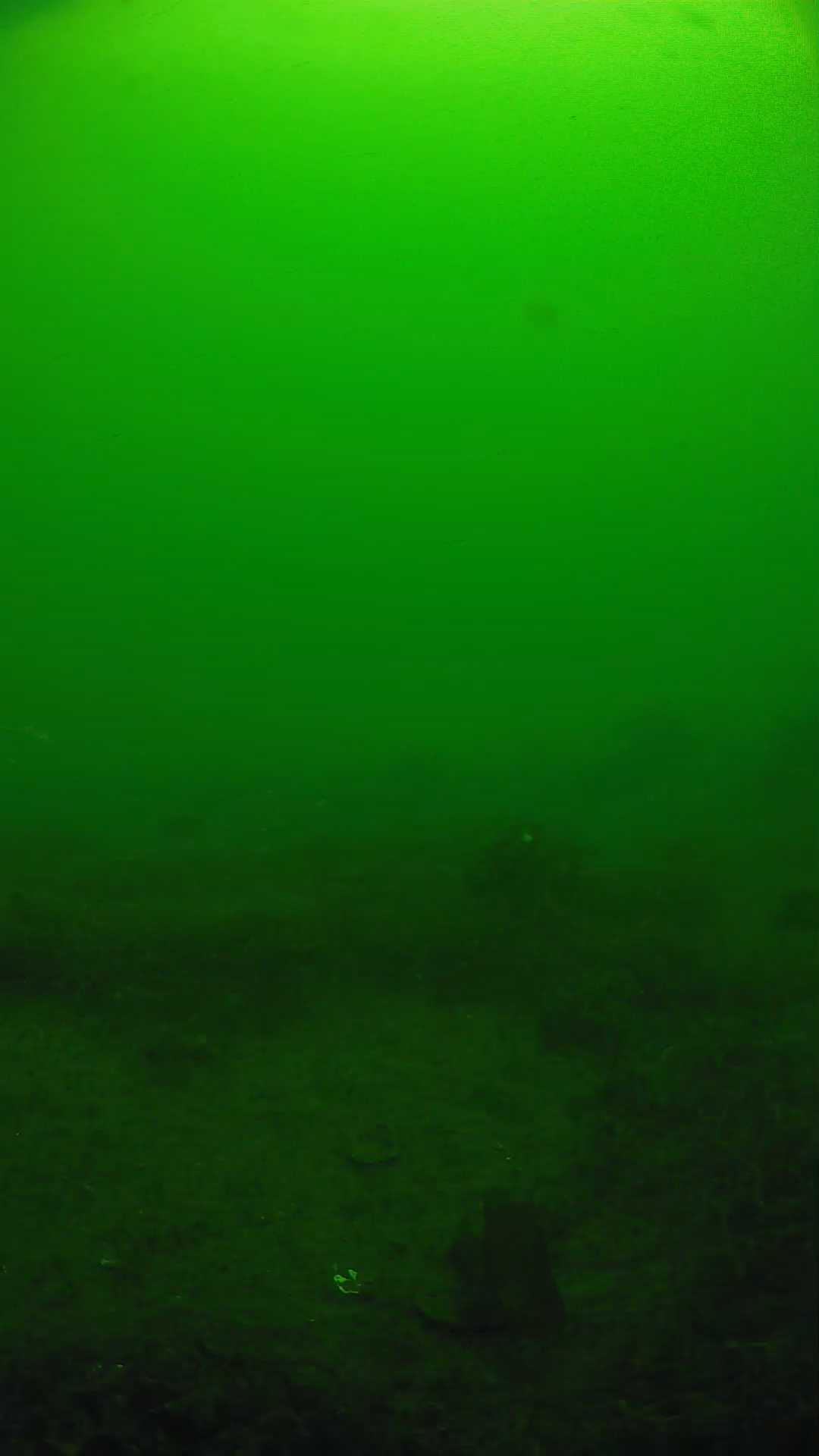 lander_ipcam_20250605093157.png