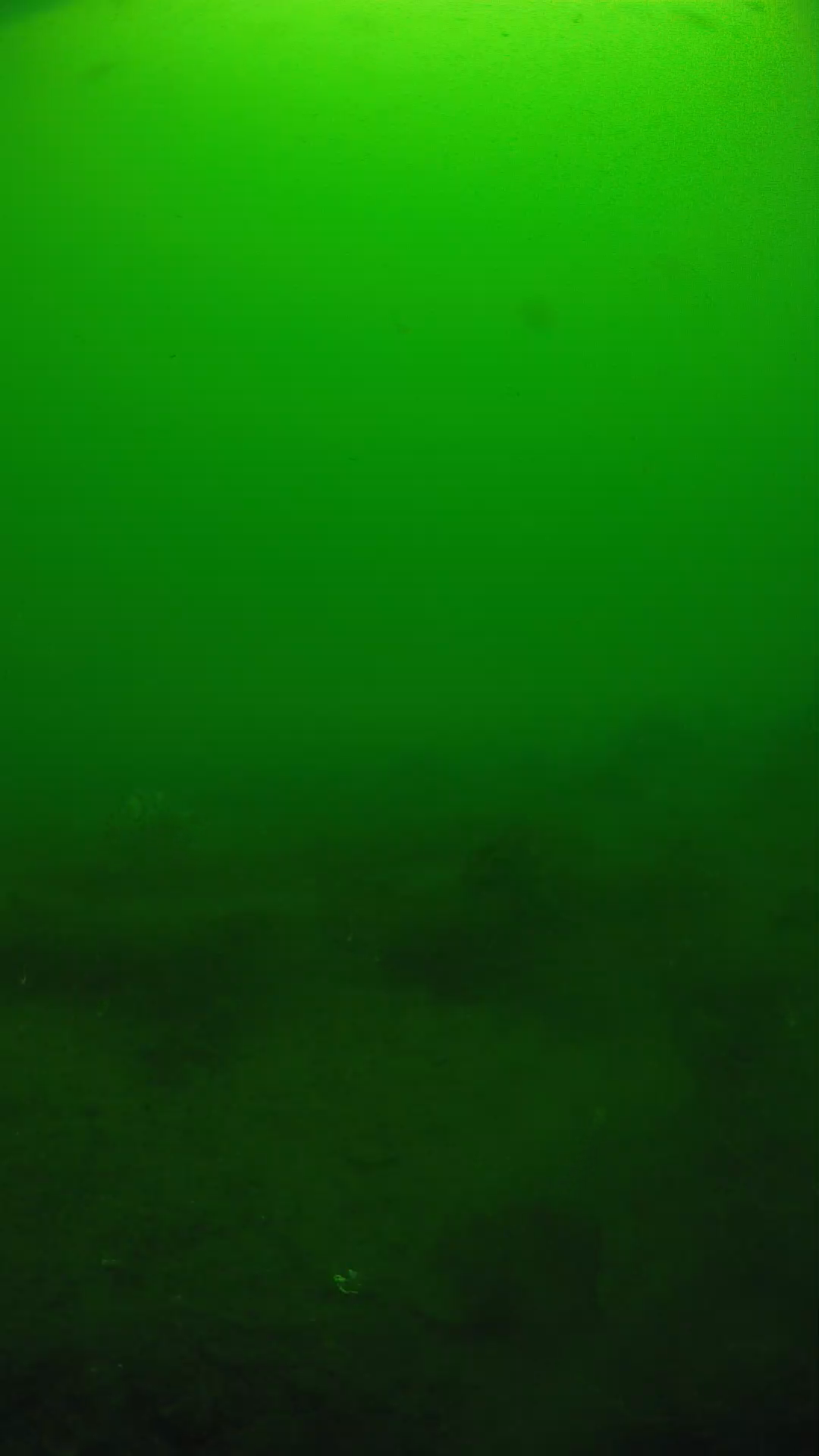 lander_ipcam_20250605094603.png