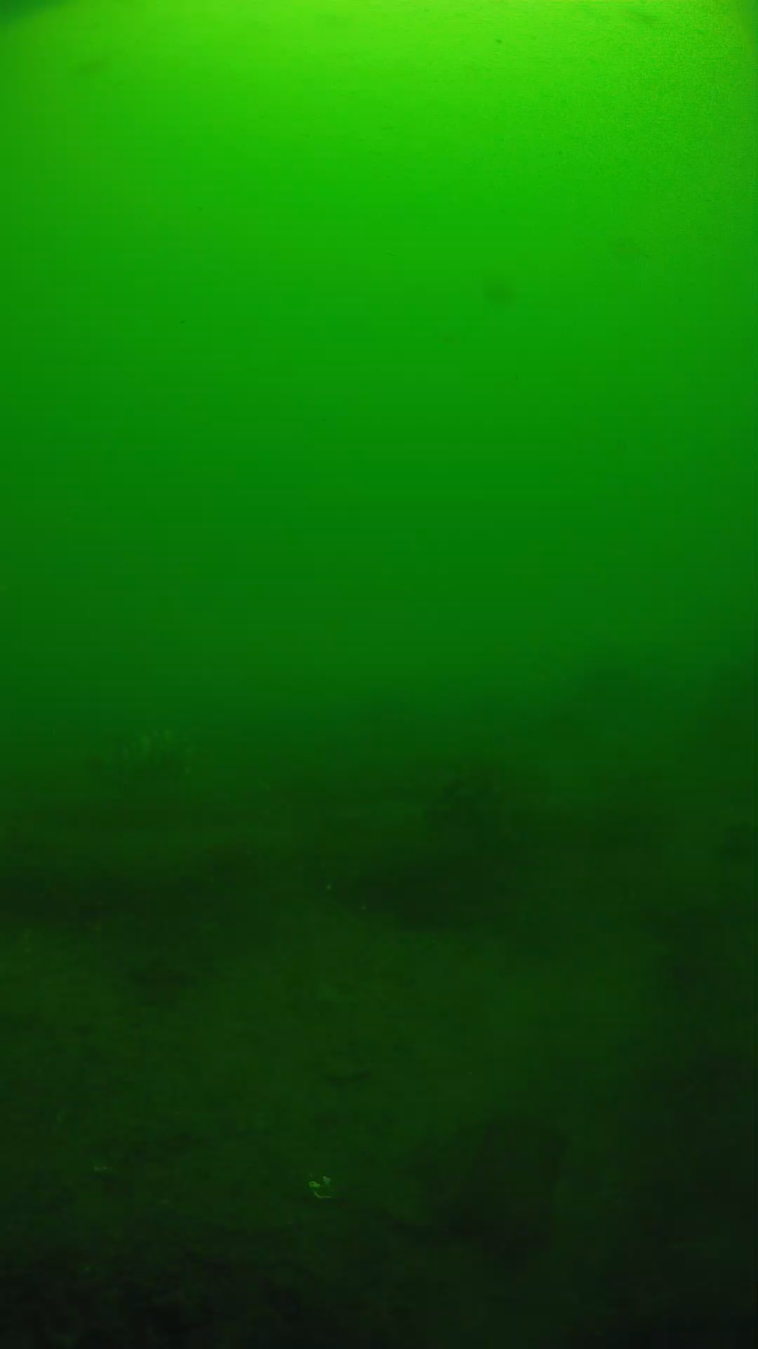 lander_ipcam_20250605094604.png