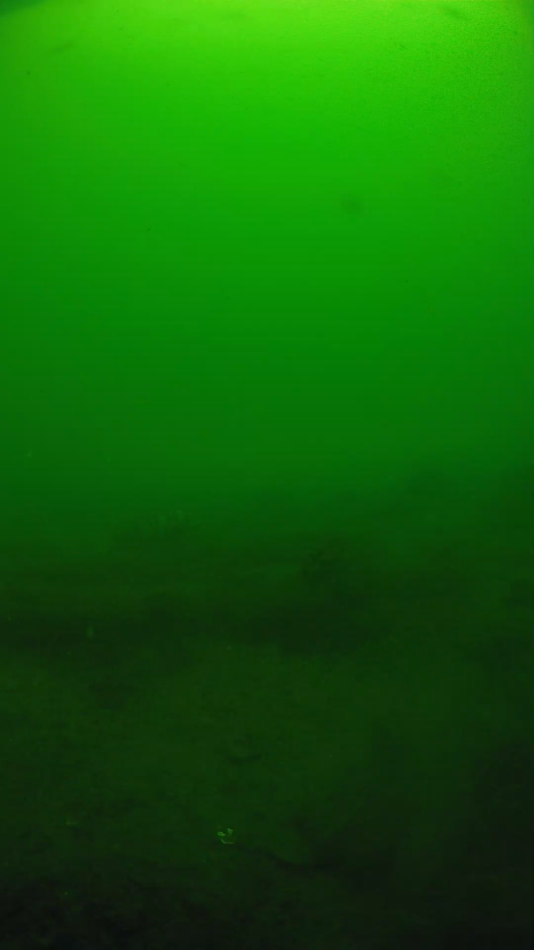 lander_ipcam_20250605094606.png