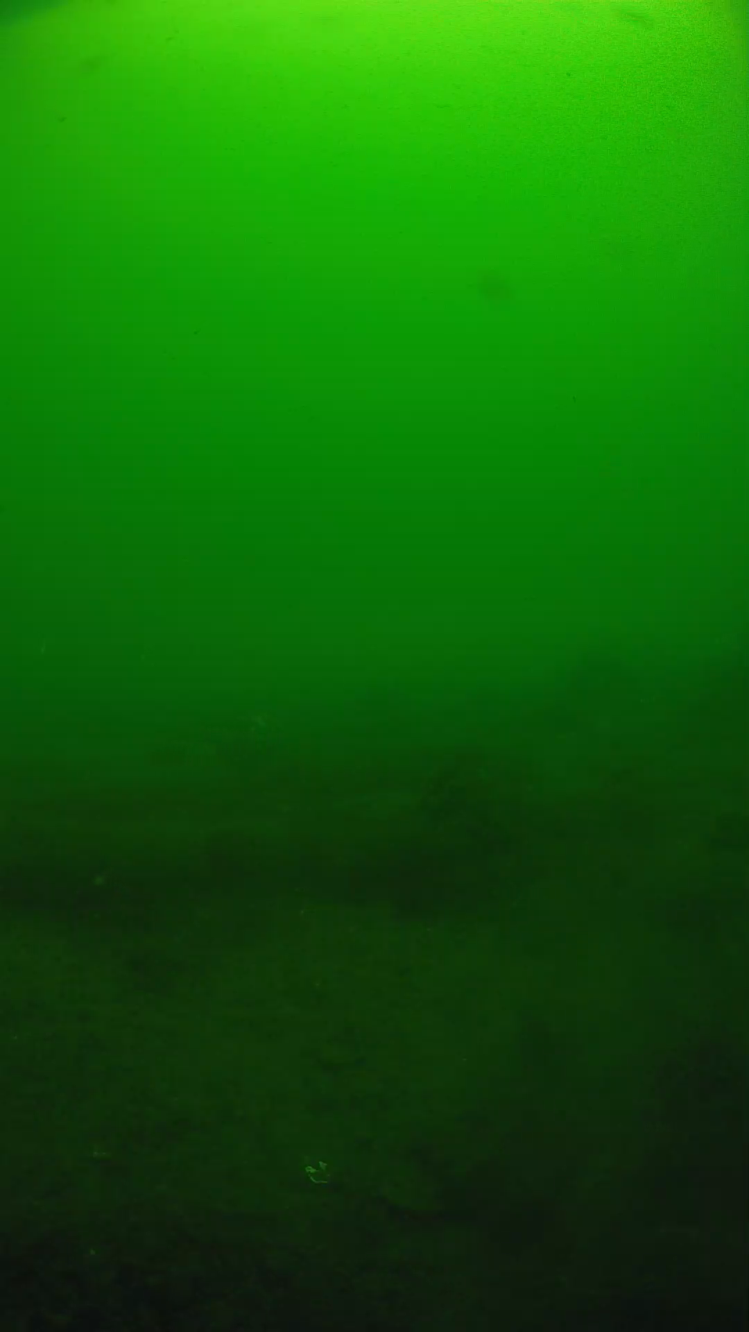 lander_ipcam_20250605094607.png