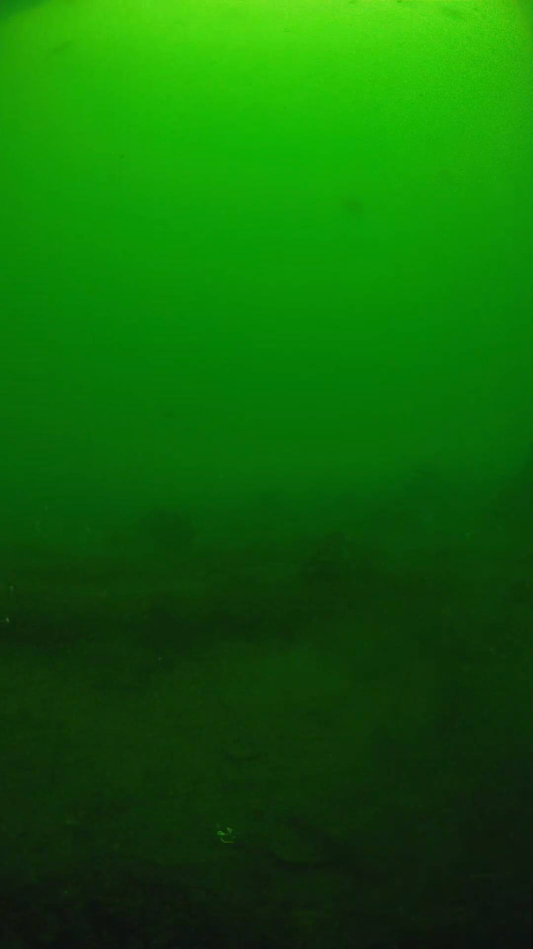 lander_ipcam_20250605094612.png
