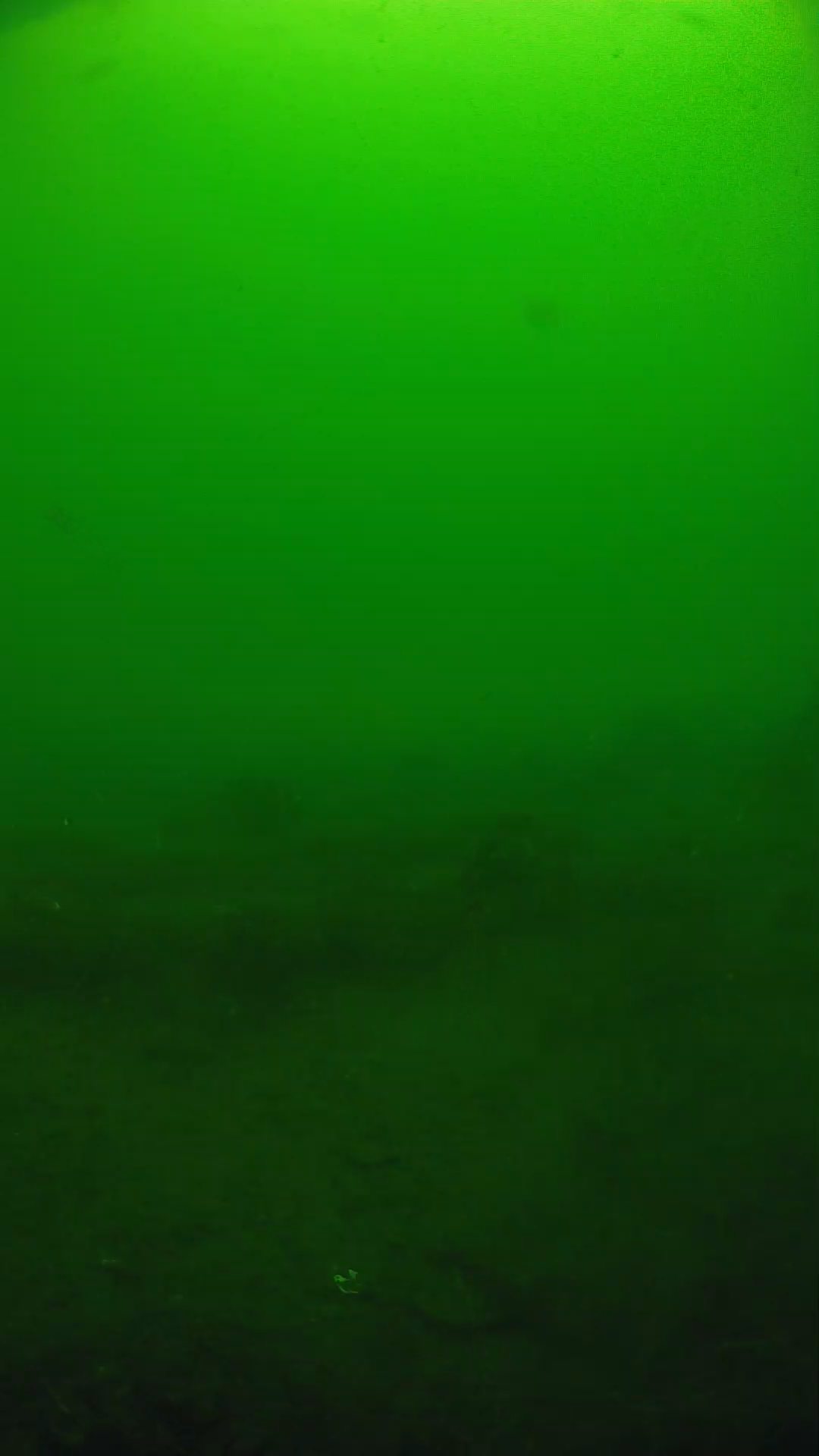 lander_ipcam_20250605094614.png