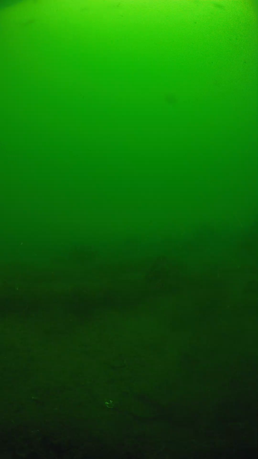 lander_ipcam_20250605094615.png