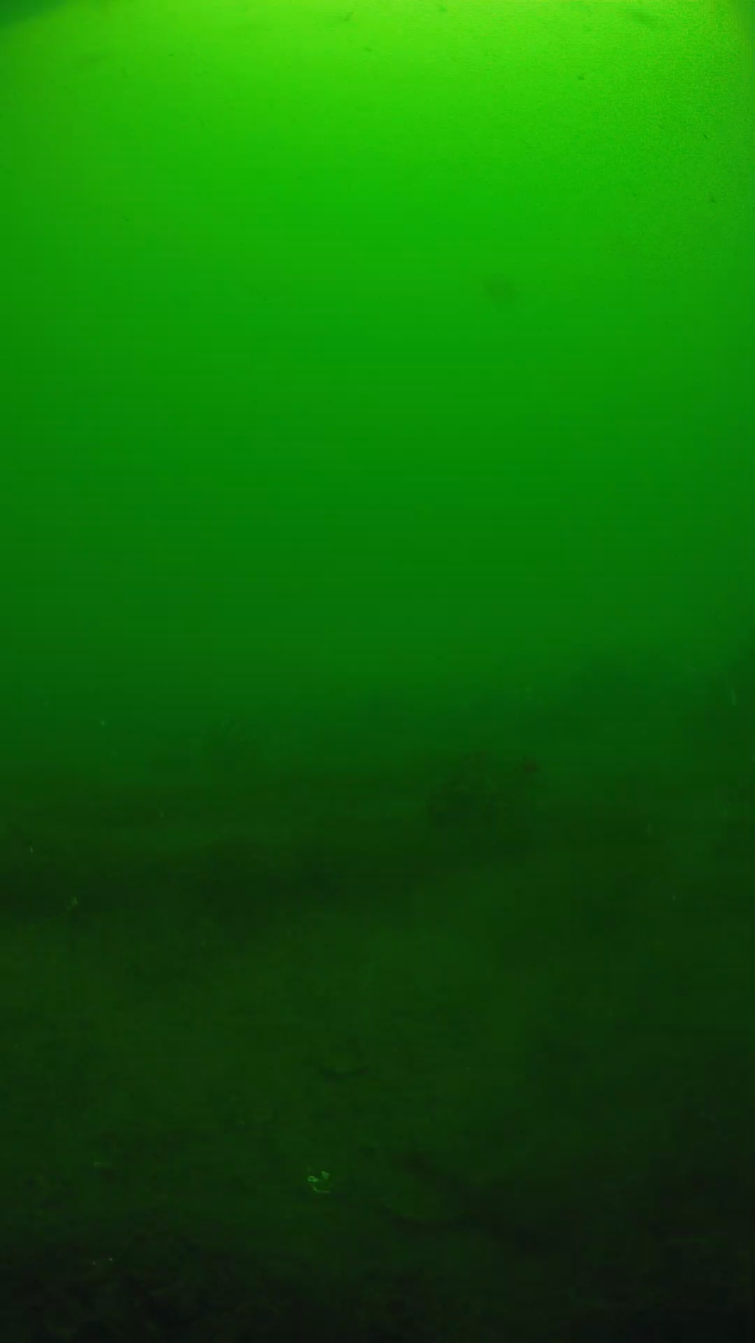 lander_ipcam_20250605094616.png