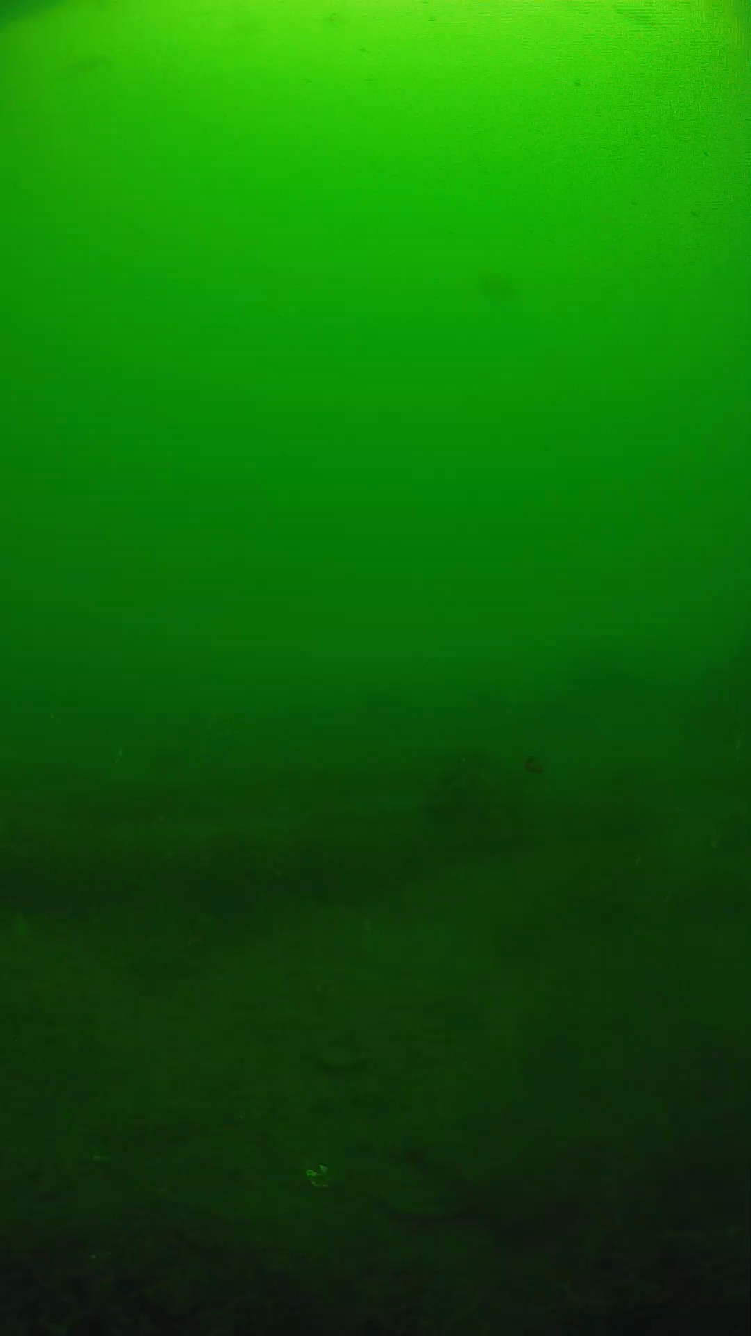 lander_ipcam_20250605094617.png