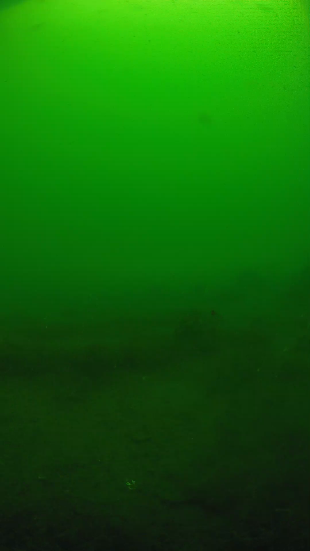 lander_ipcam_20250605094618.png