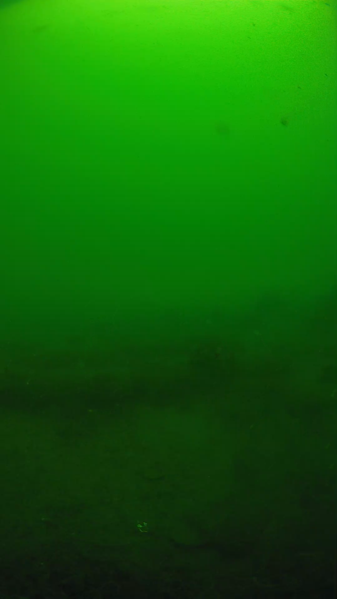 lander_ipcam_20250605094620.png