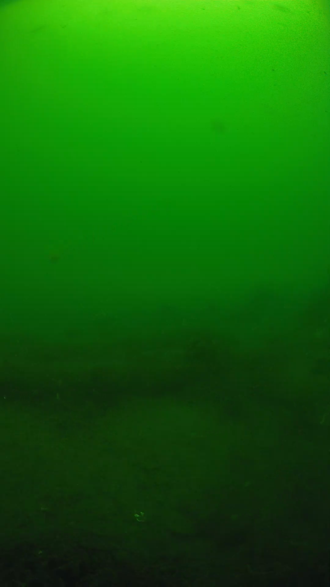 lander_ipcam_20250605094622.png