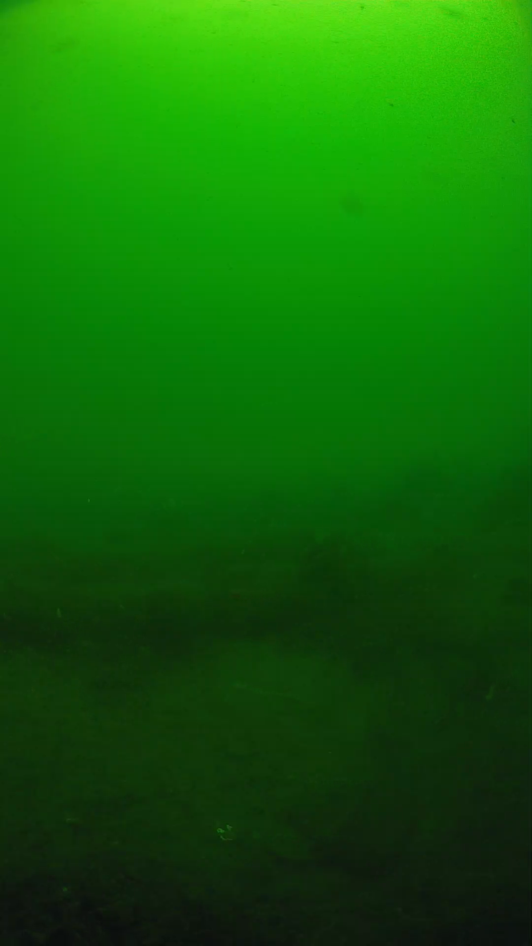 lander_ipcam_20250605094623.png
