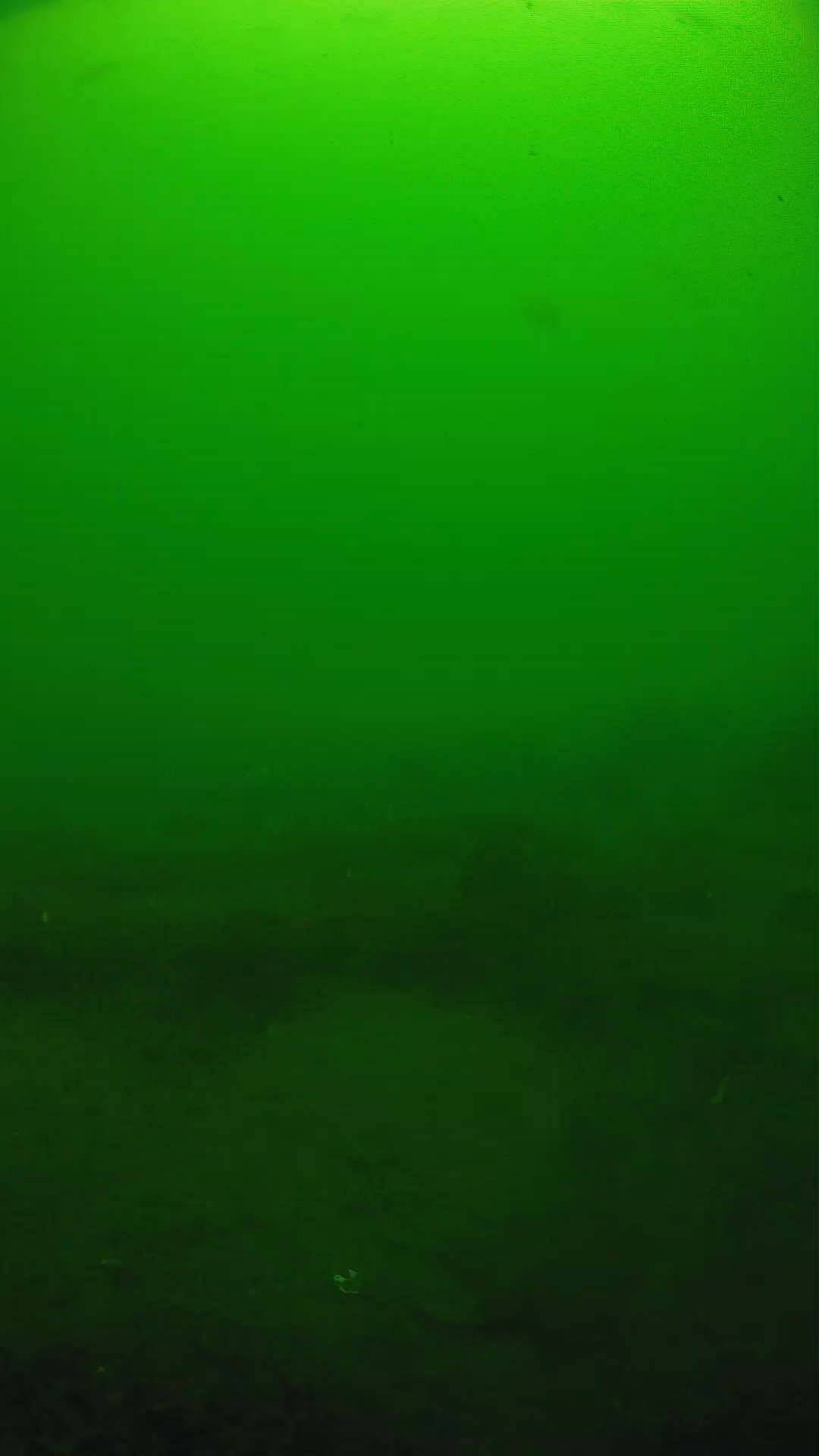 lander_ipcam_20250605094624.png