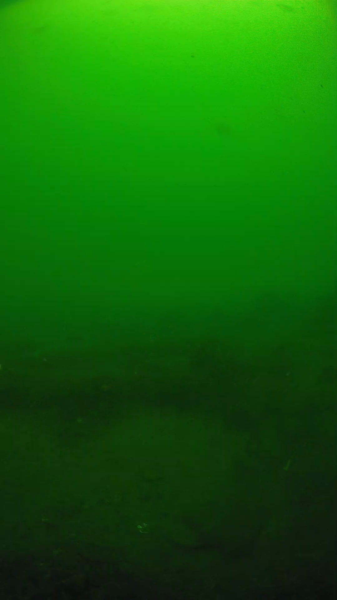 lander_ipcam_20250605094625.png