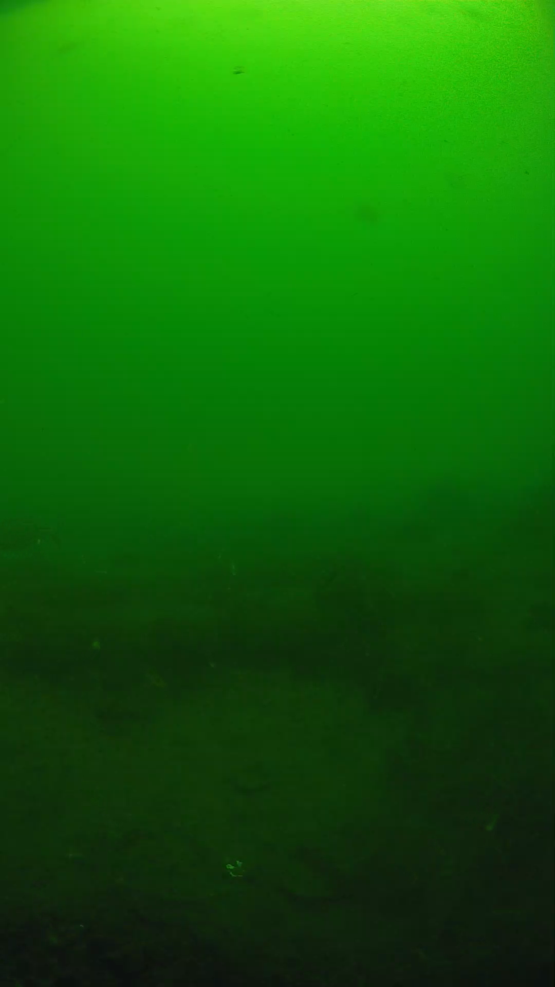 lander_ipcam_20250605094628.png
