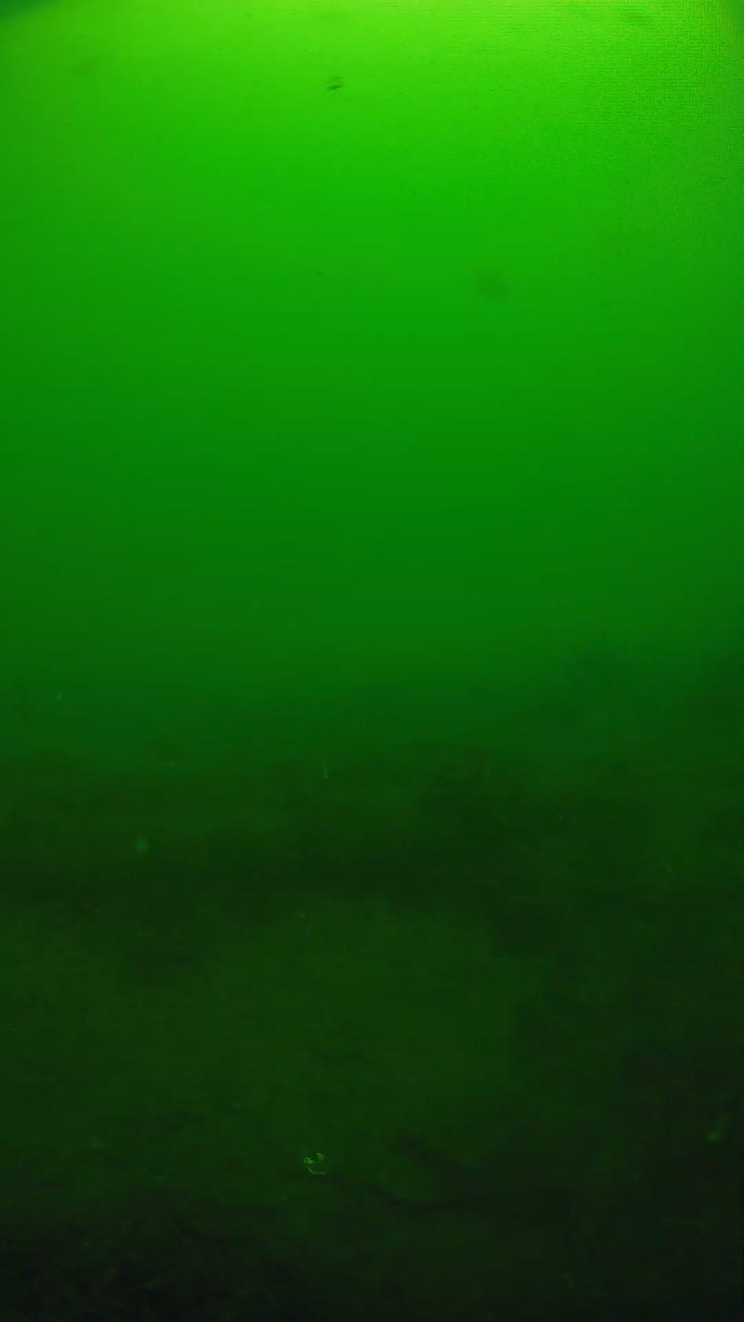 lander_ipcam_20250605094629.png