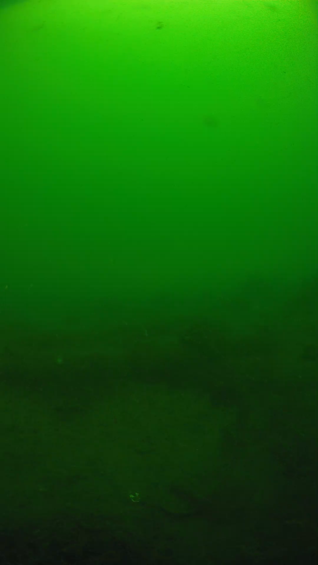 lander_ipcam_20250605094630.png