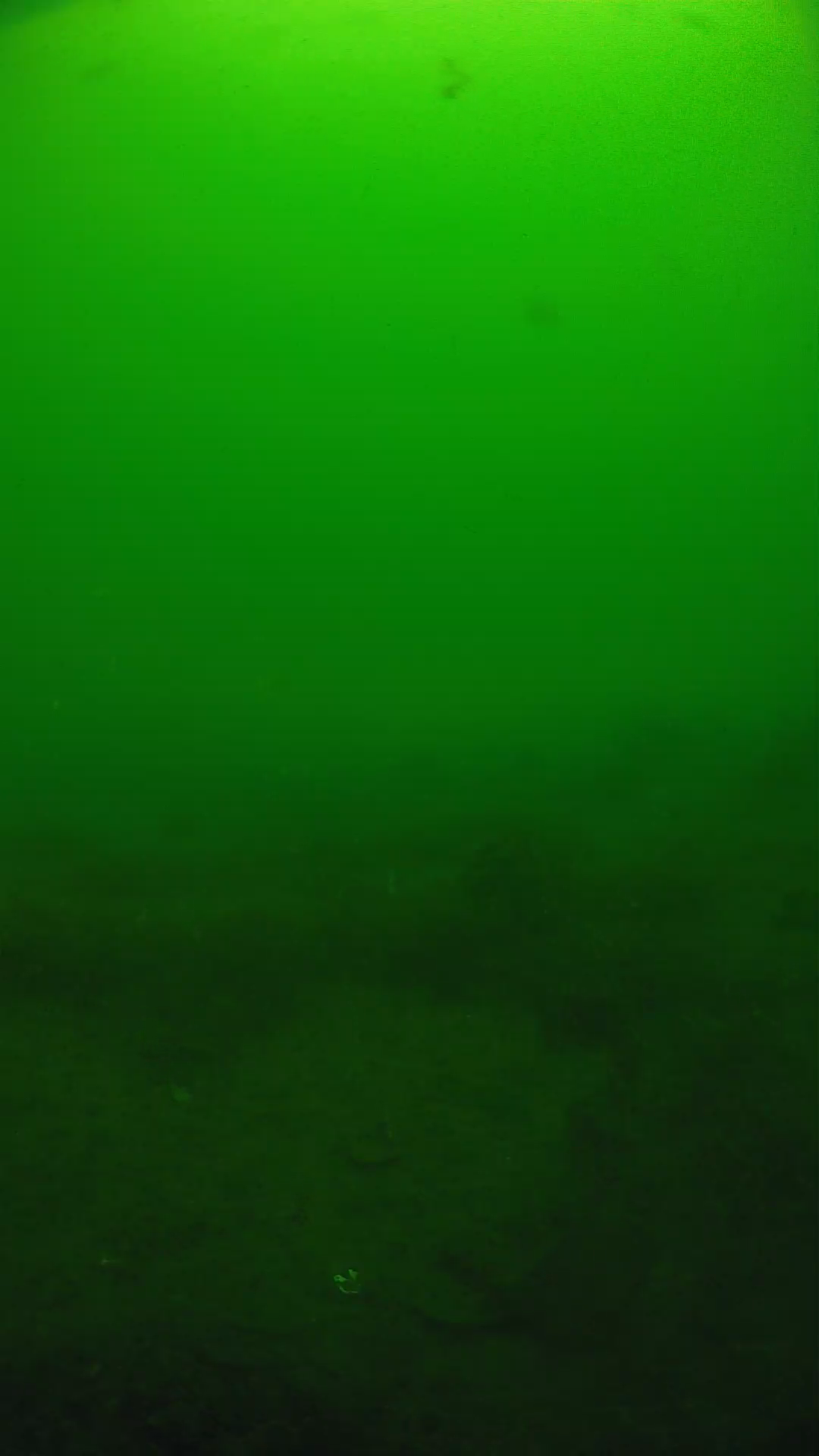 lander_ipcam_20250605094633.png