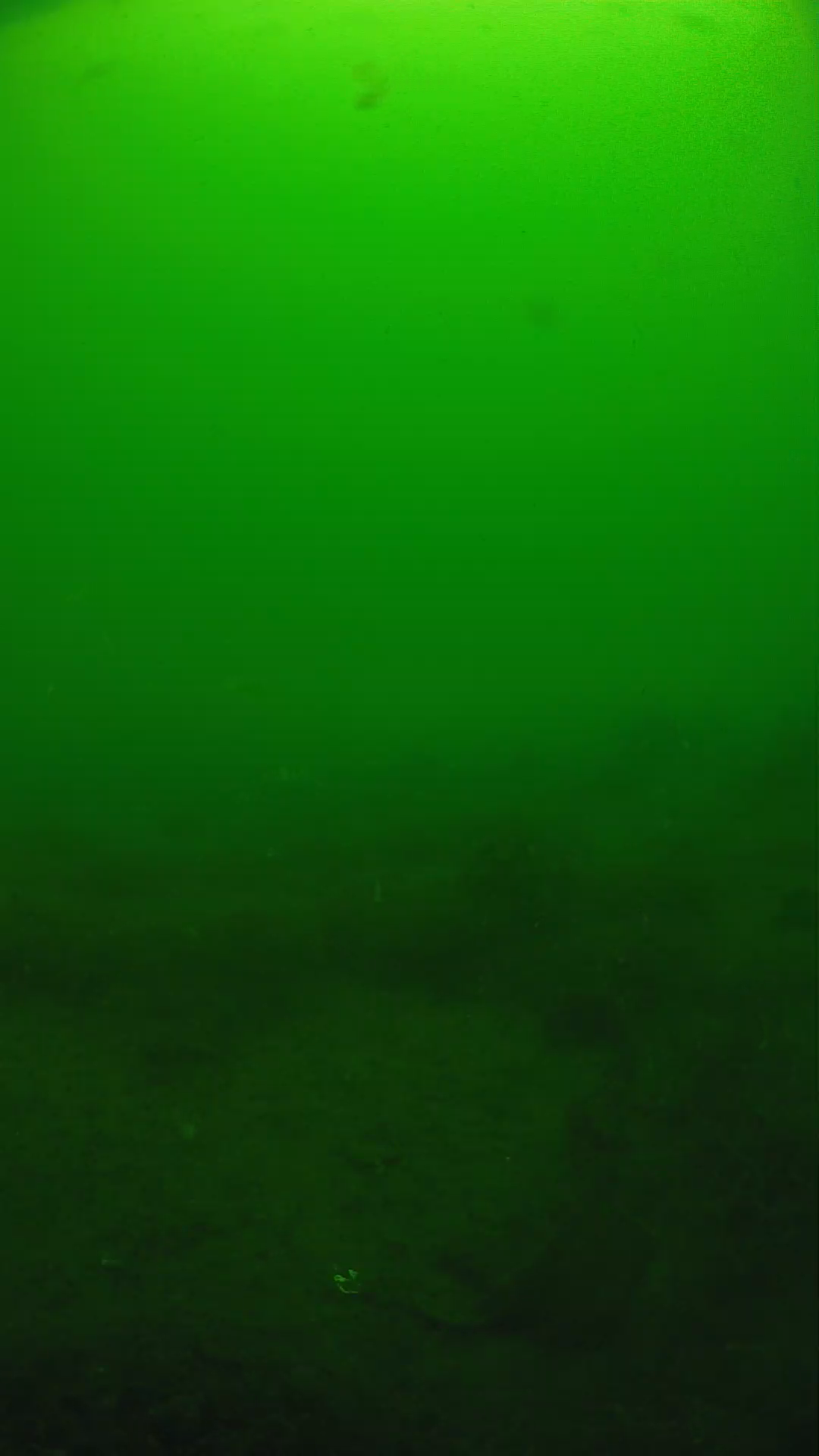 lander_ipcam_20250605094634.png