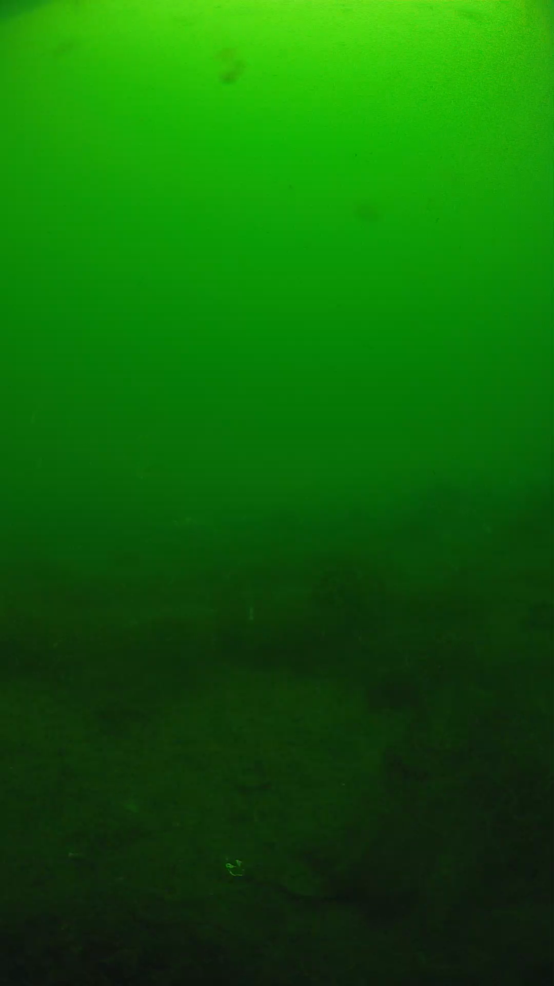 lander_ipcam_20250605094635.png