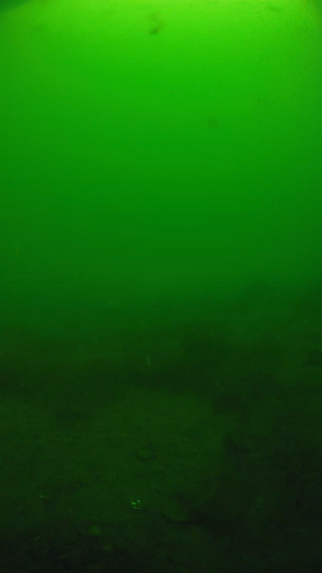 lander_ipcam_20250605094636.png