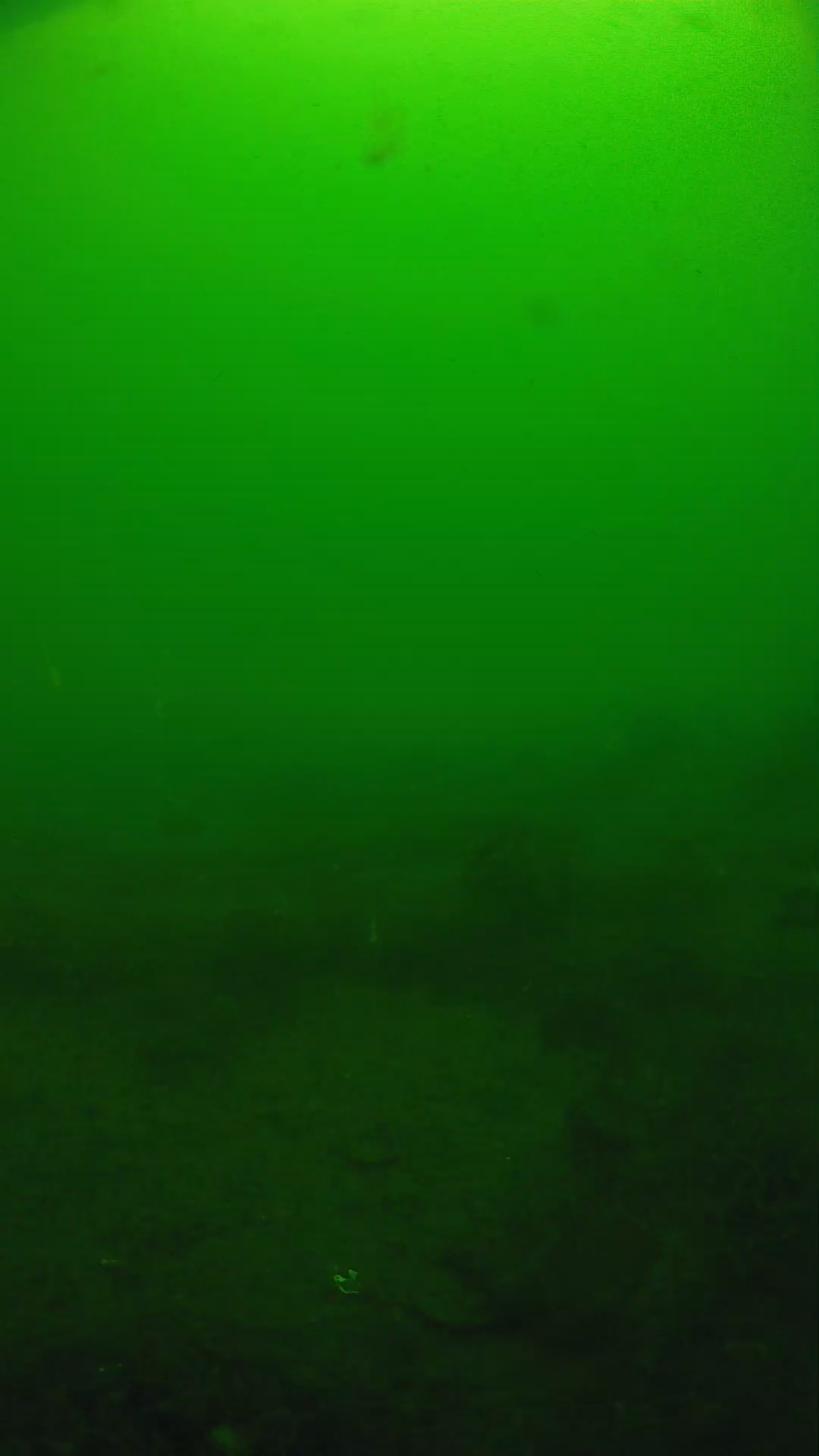 lander_ipcam_20250605094638.png