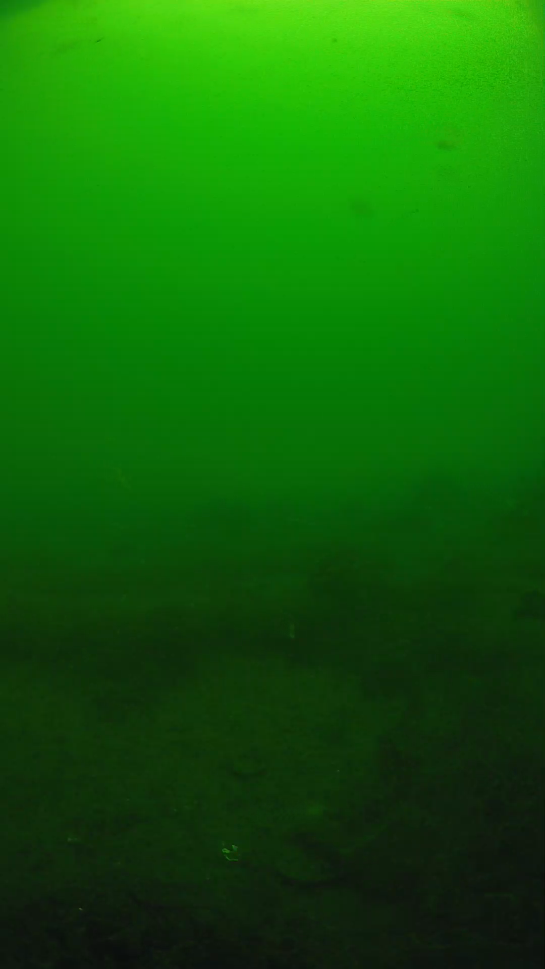 lander_ipcam_20250605094641.png