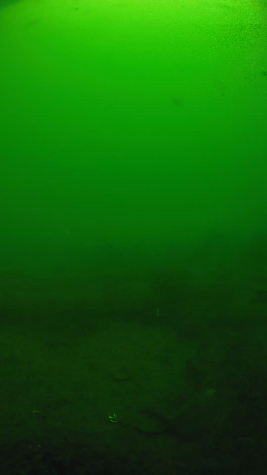 lander_ipcam_20250605094642.png