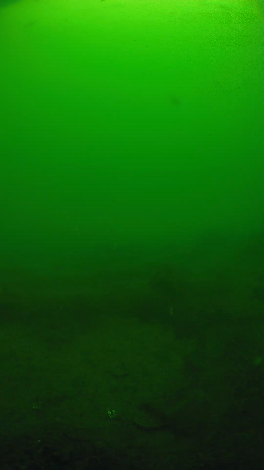 lander_ipcam_20250605094643.png