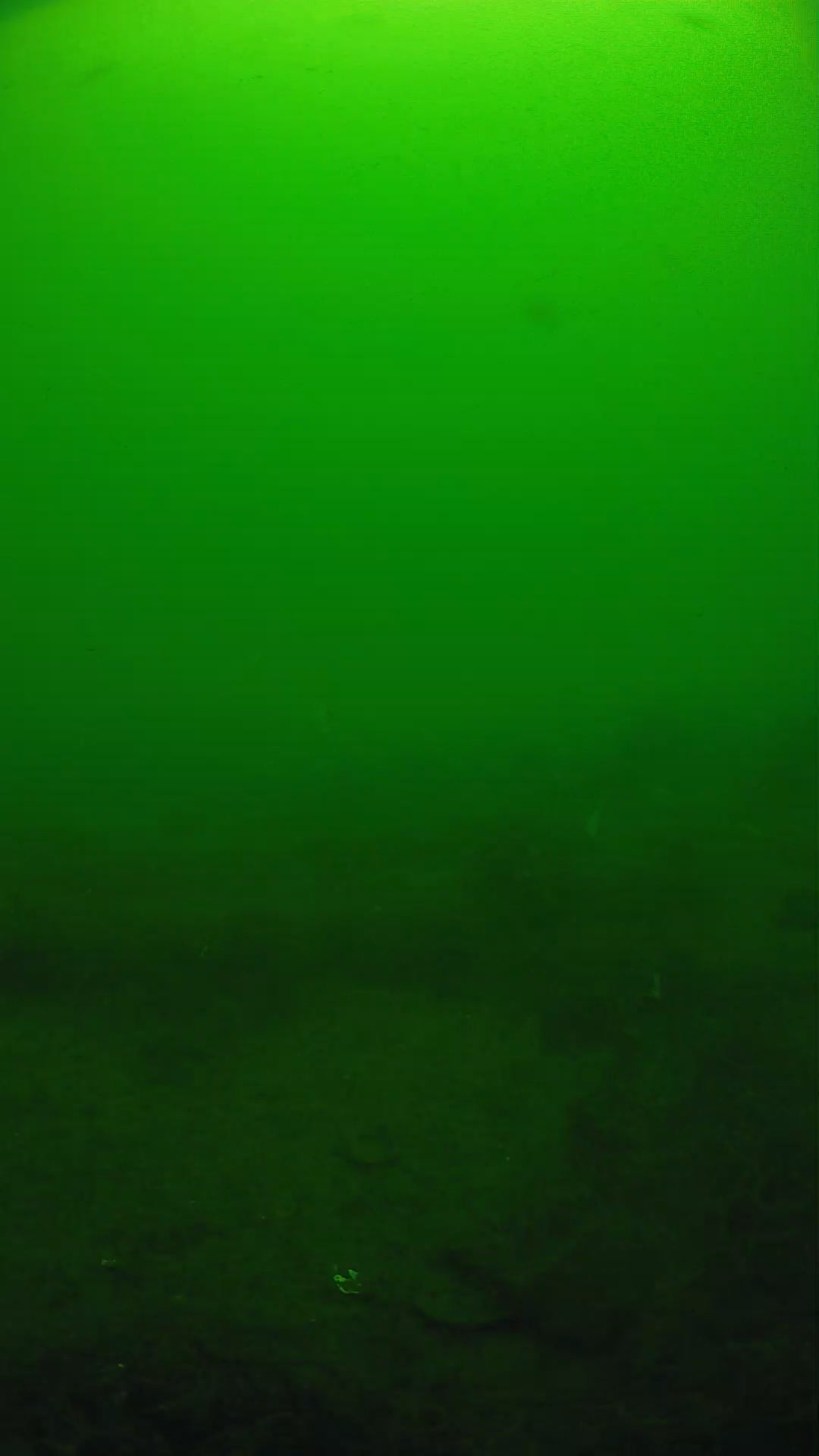 lander_ipcam_20250605094646.png