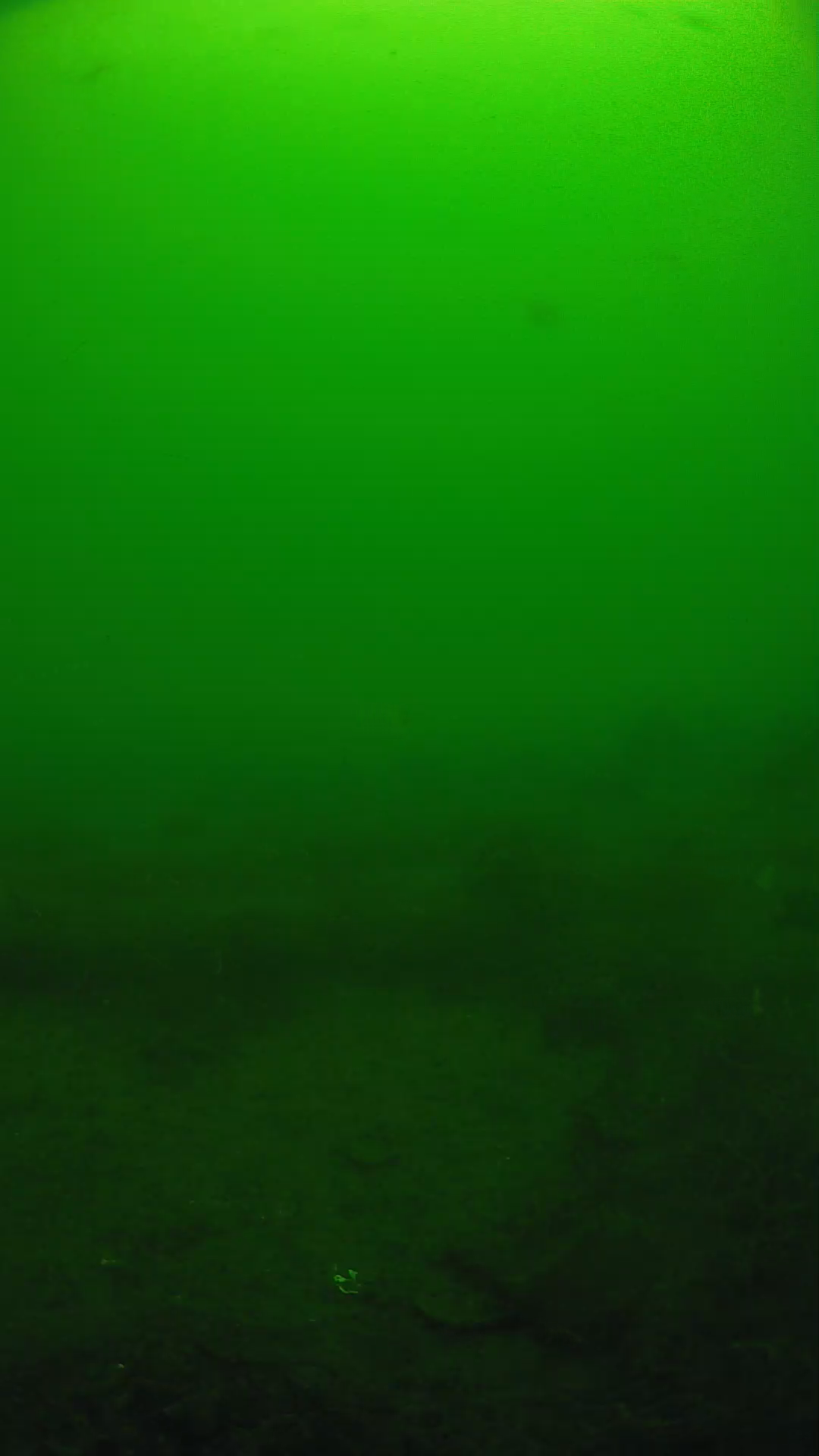 lander_ipcam_20250605094648.png