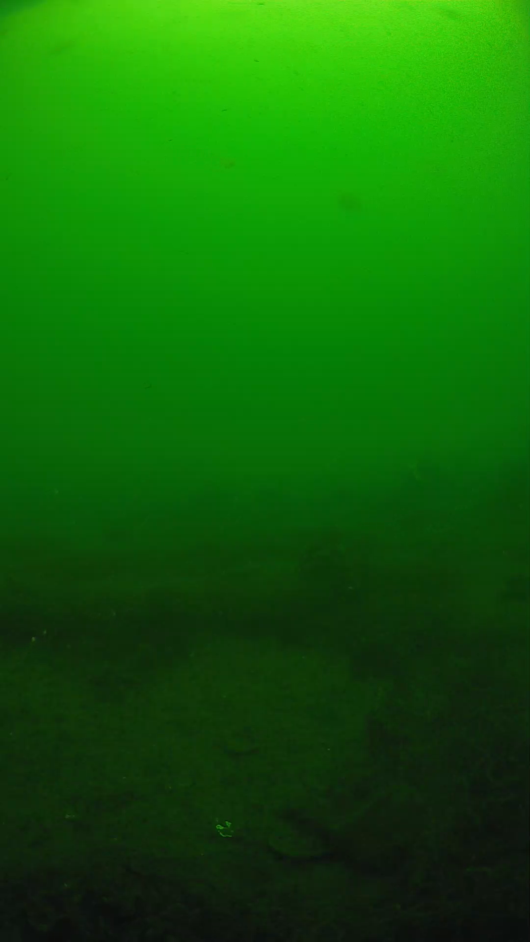 lander_ipcam_20250605094654.png