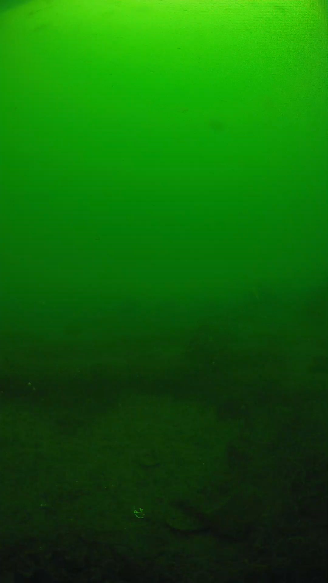 lander_ipcam_20250605094655.png