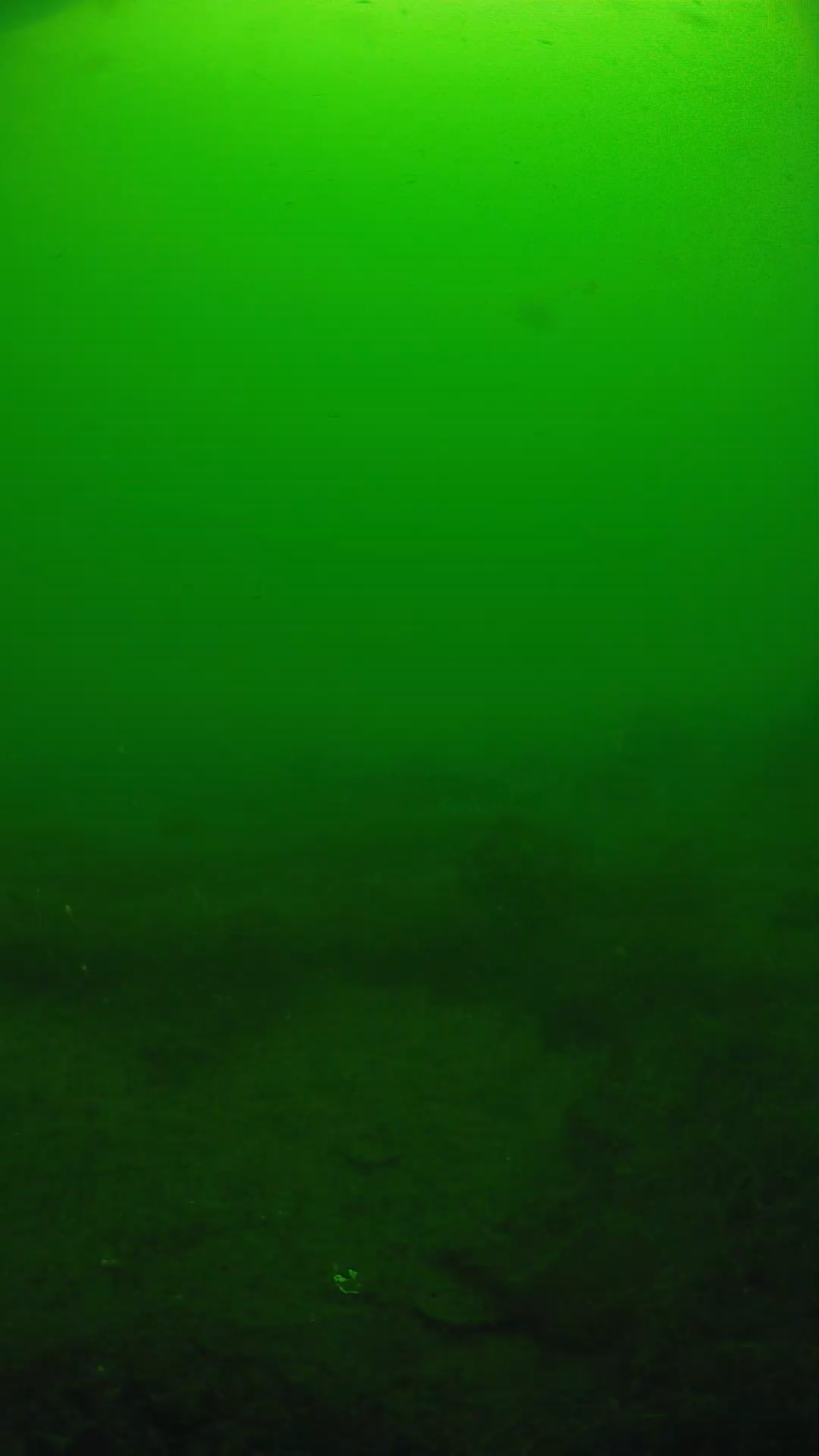 lander_ipcam_20250605094657.png