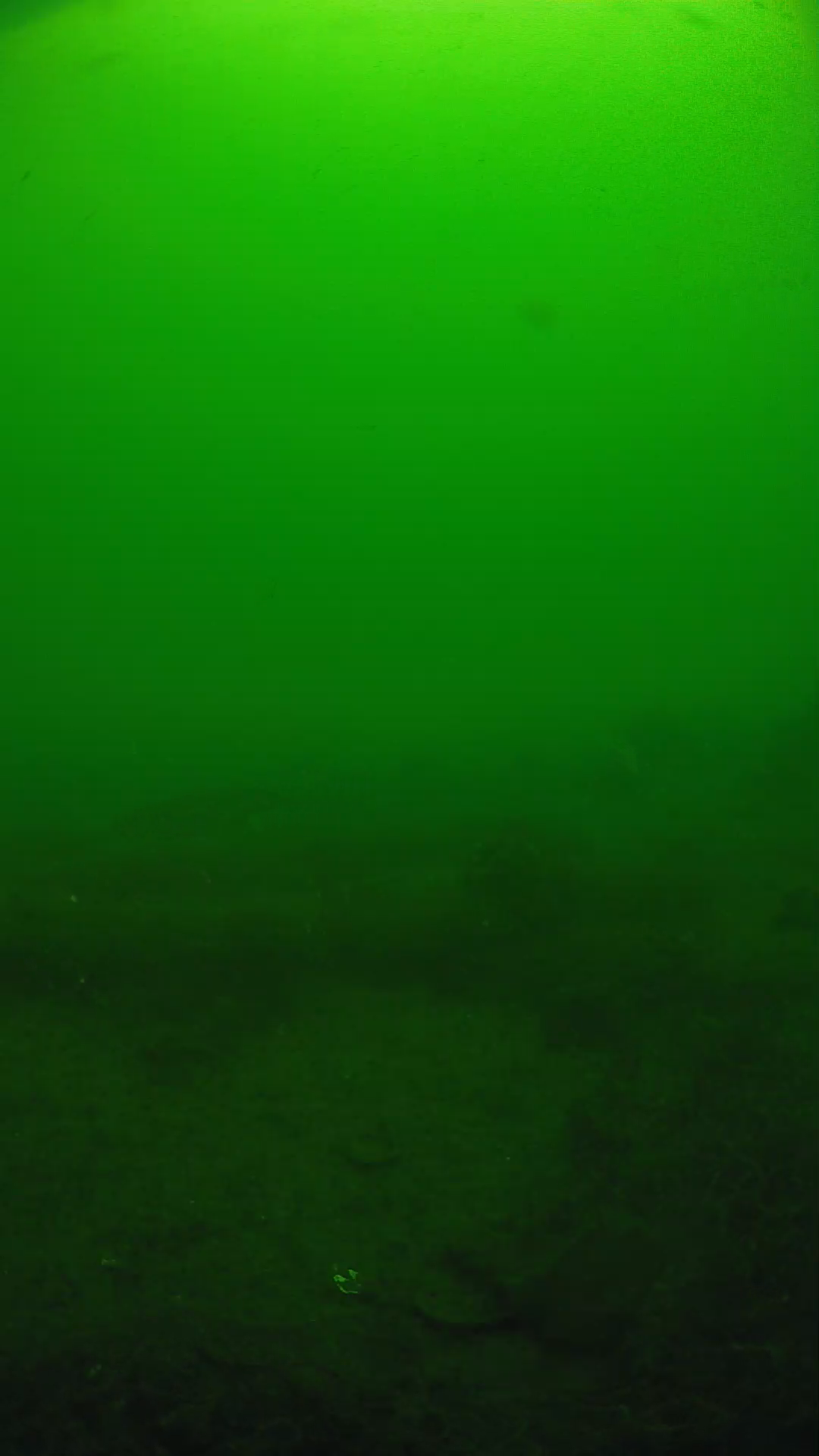 lander_ipcam_20250605094659.png