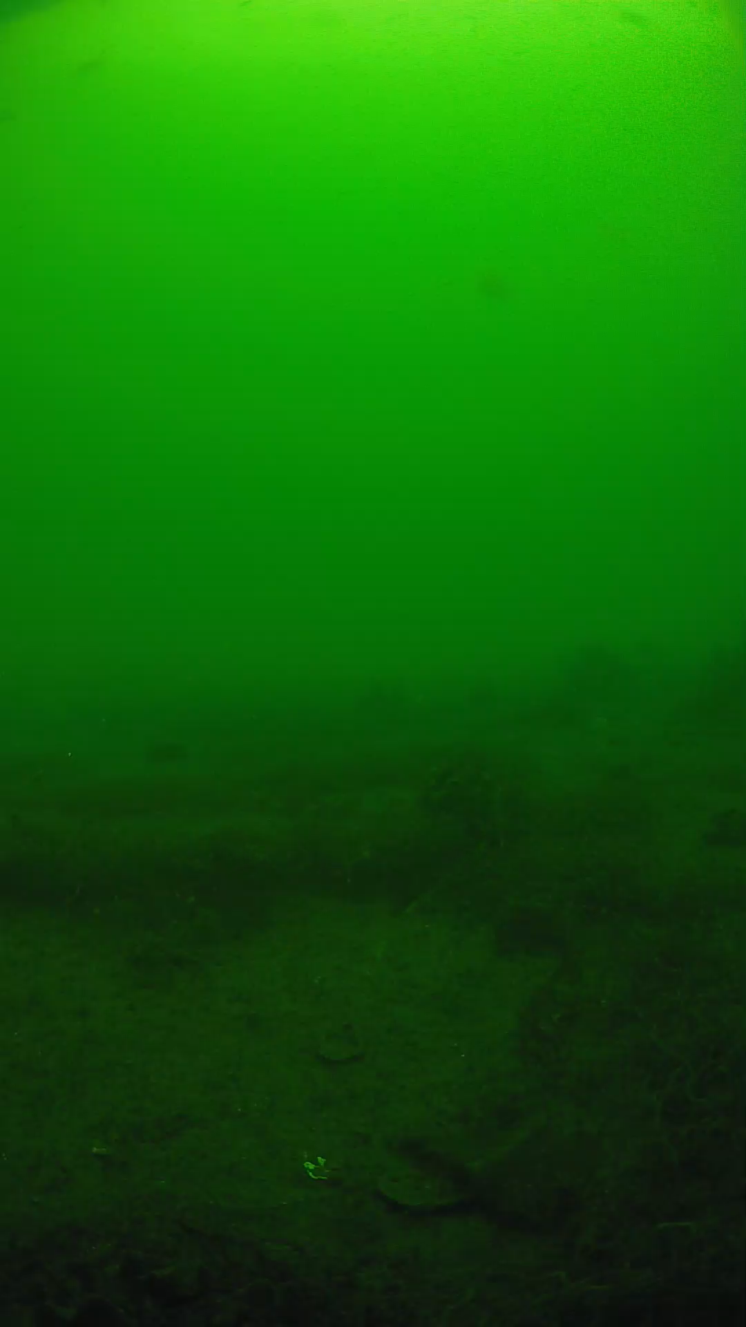 lander_ipcam_20250605100106.png