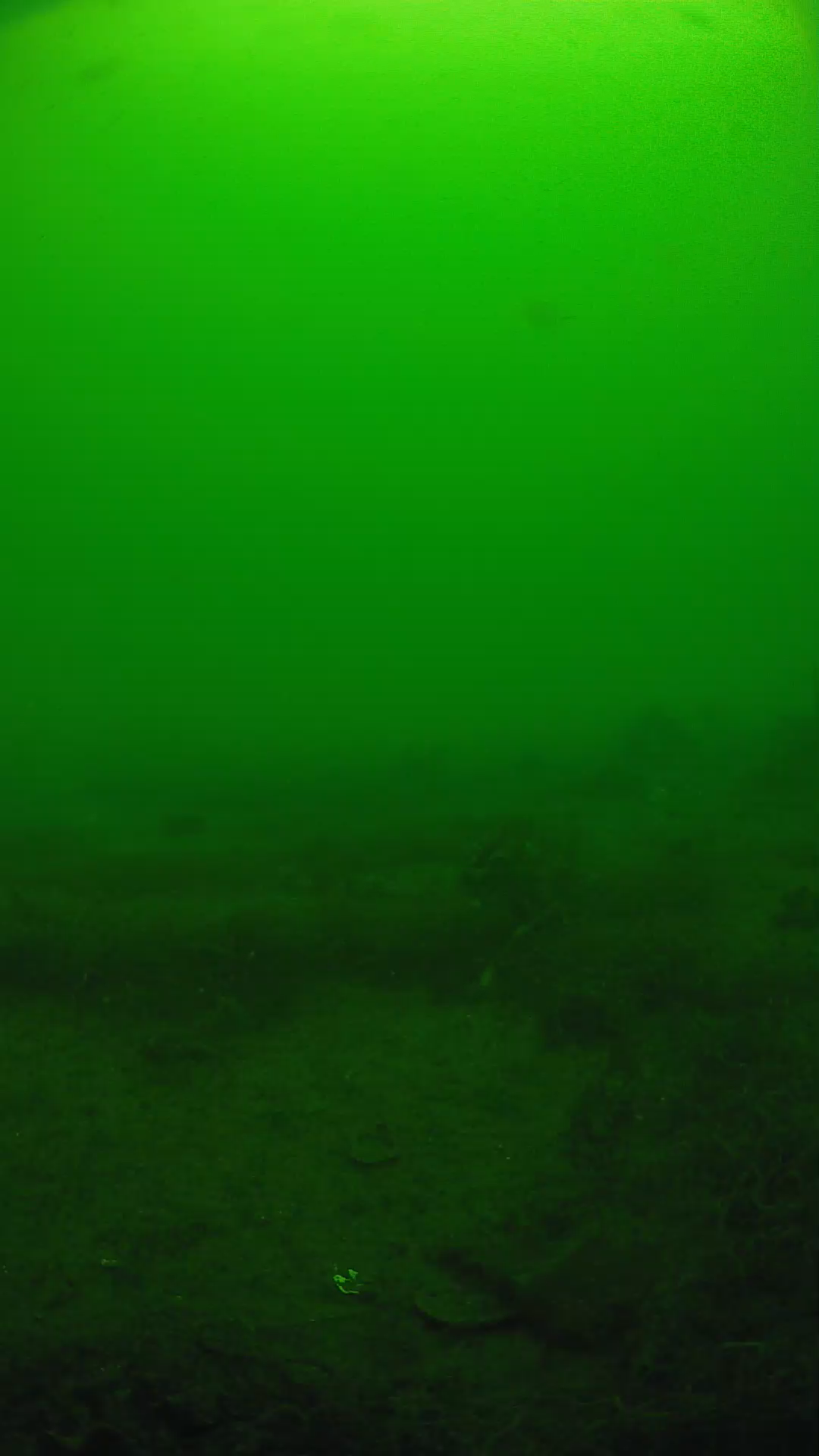 lander_ipcam_20250605100108.png