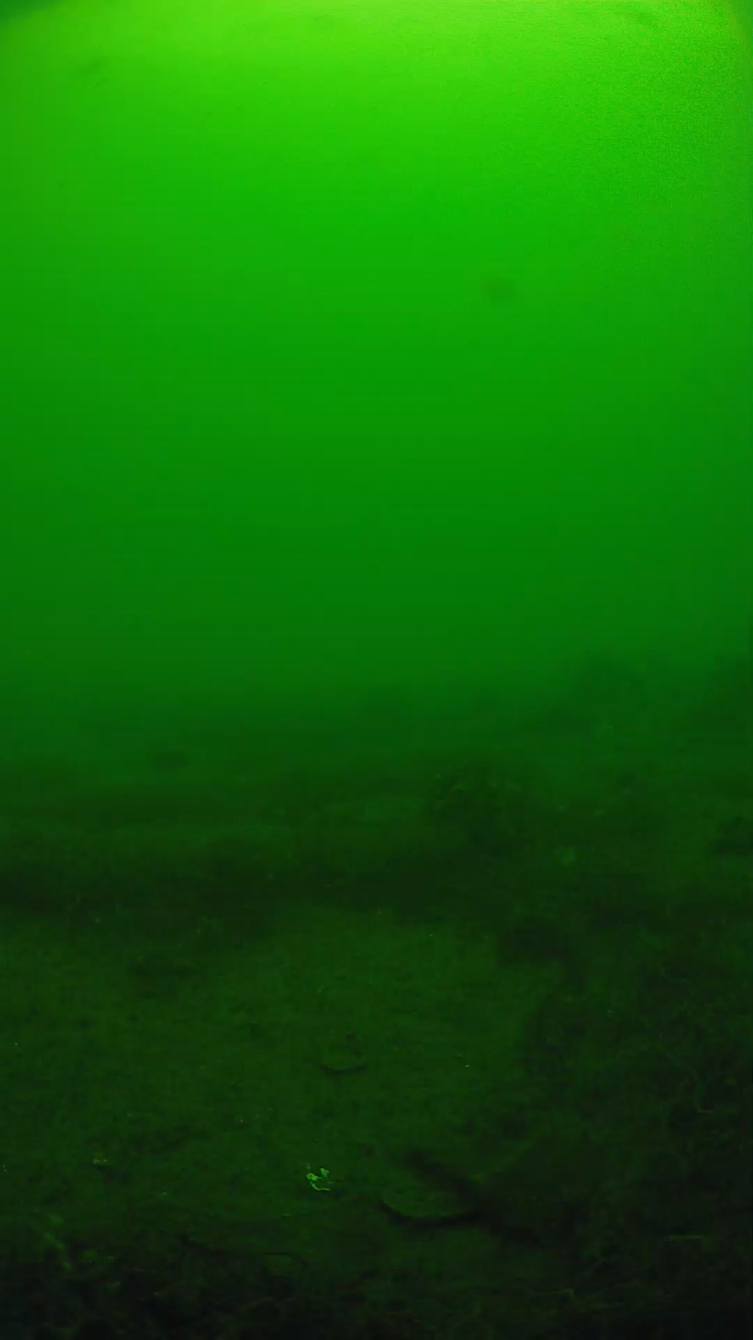 lander_ipcam_20250605100111.png
