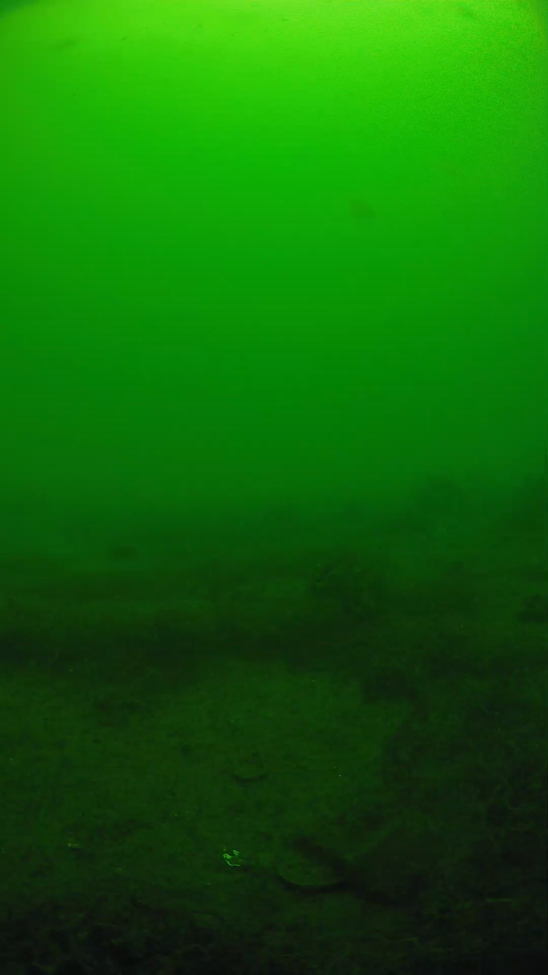lander_ipcam_20250605100114.png