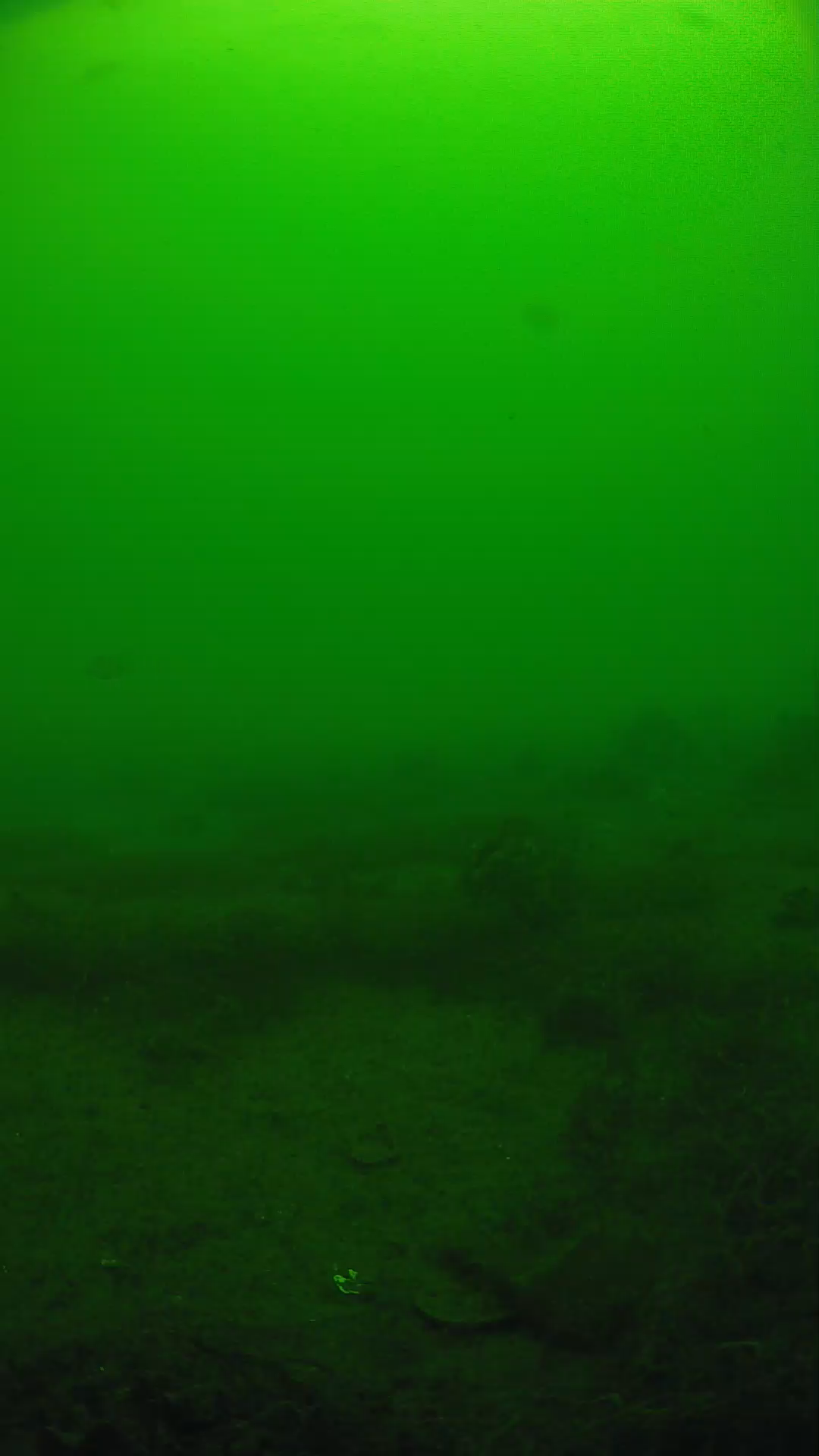 lander_ipcam_20250605100122.png