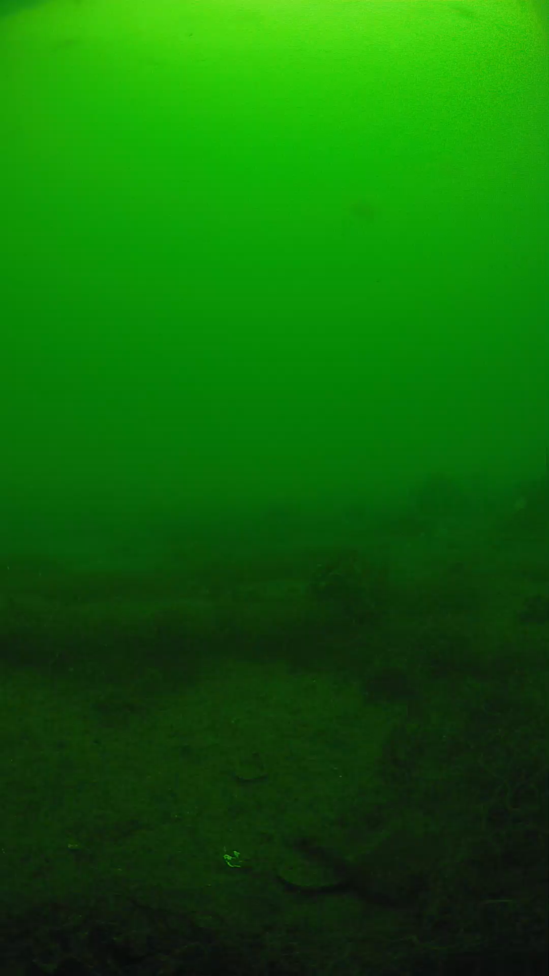 lander_ipcam_20250605100125.png