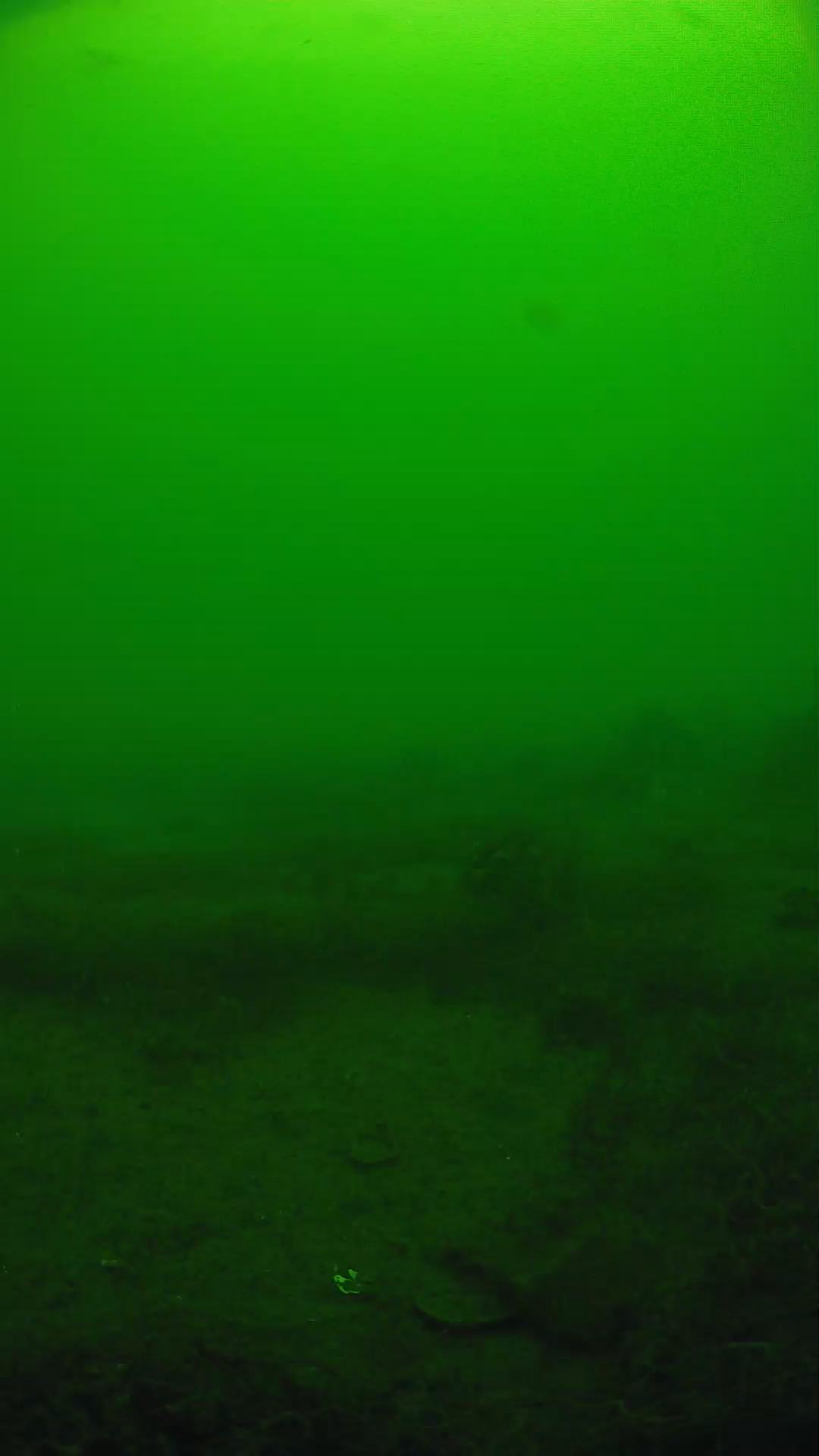 lander_ipcam_20250605100126.png