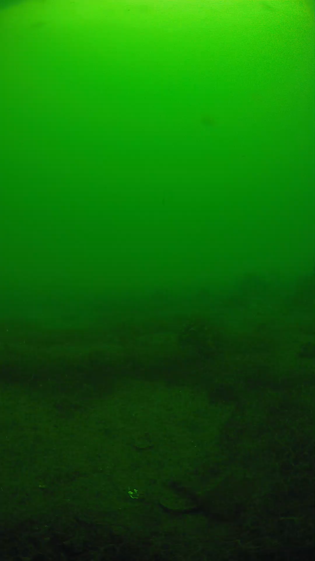 lander_ipcam_20250605100127.png