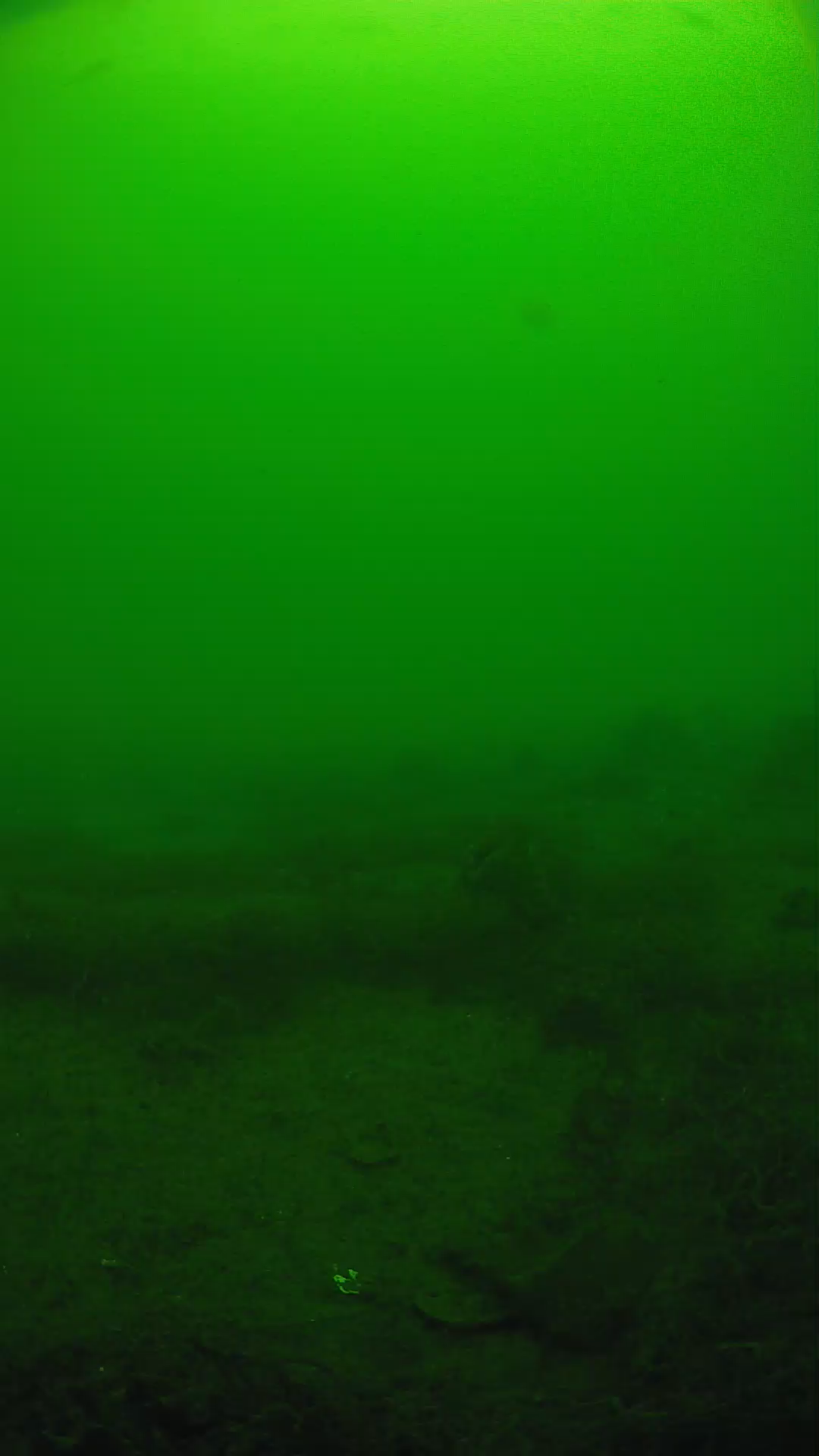 lander_ipcam_20250605100130.png