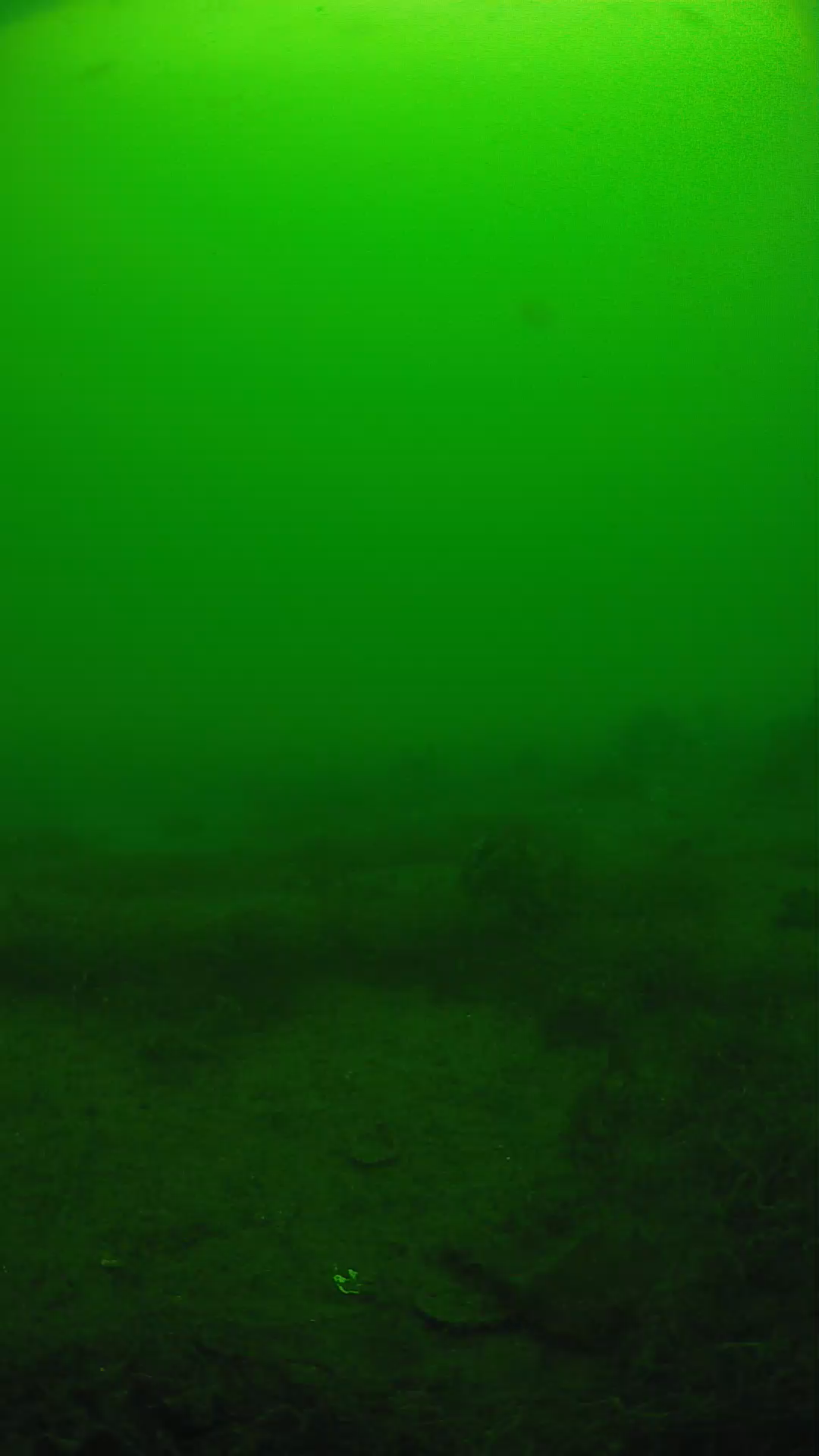 lander_ipcam_20250605100136.png