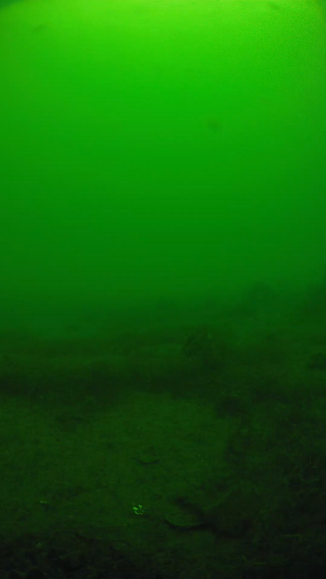 lander_ipcam_20250605100141.png