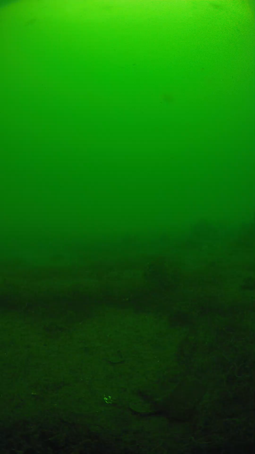 lander_ipcam_20250605100146.png