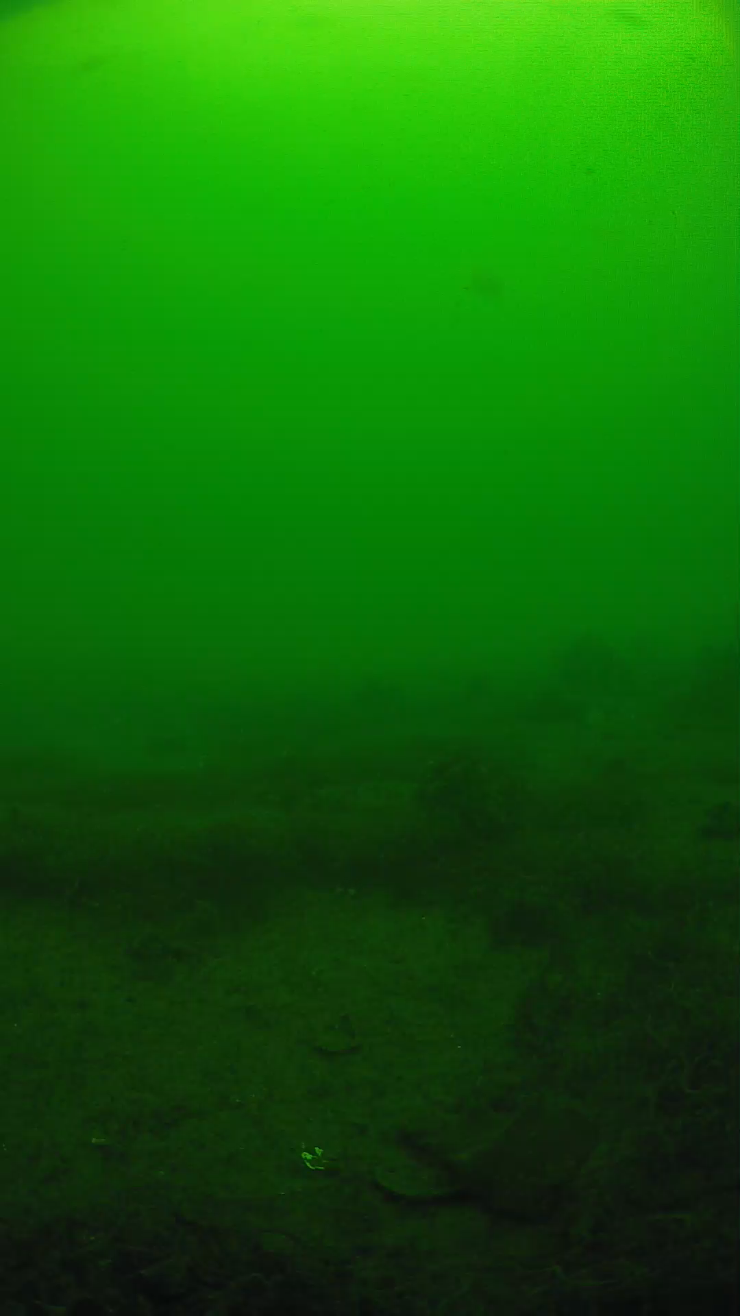 lander_ipcam_20250605100147.png