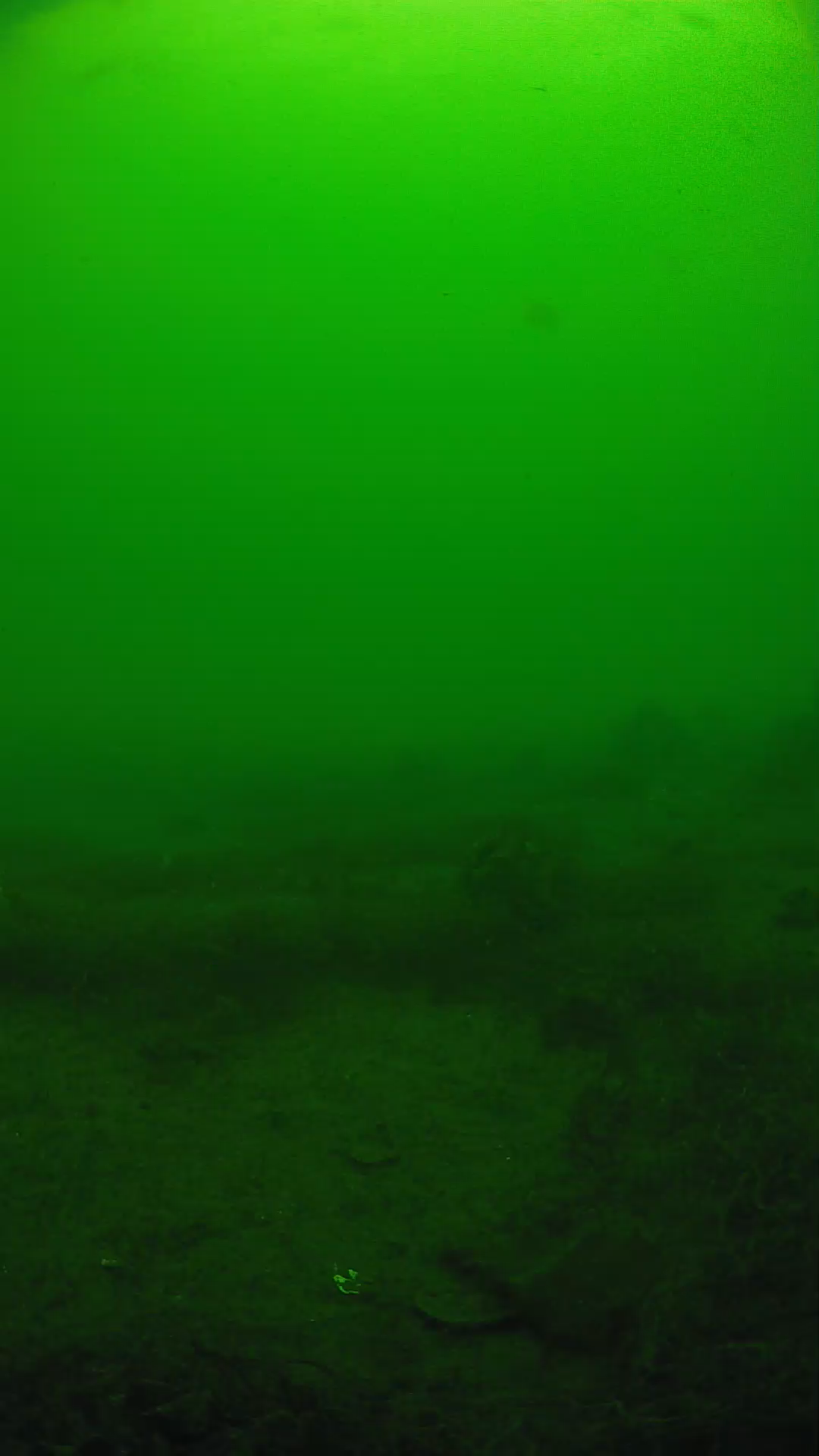 lander_ipcam_20250605100155.png